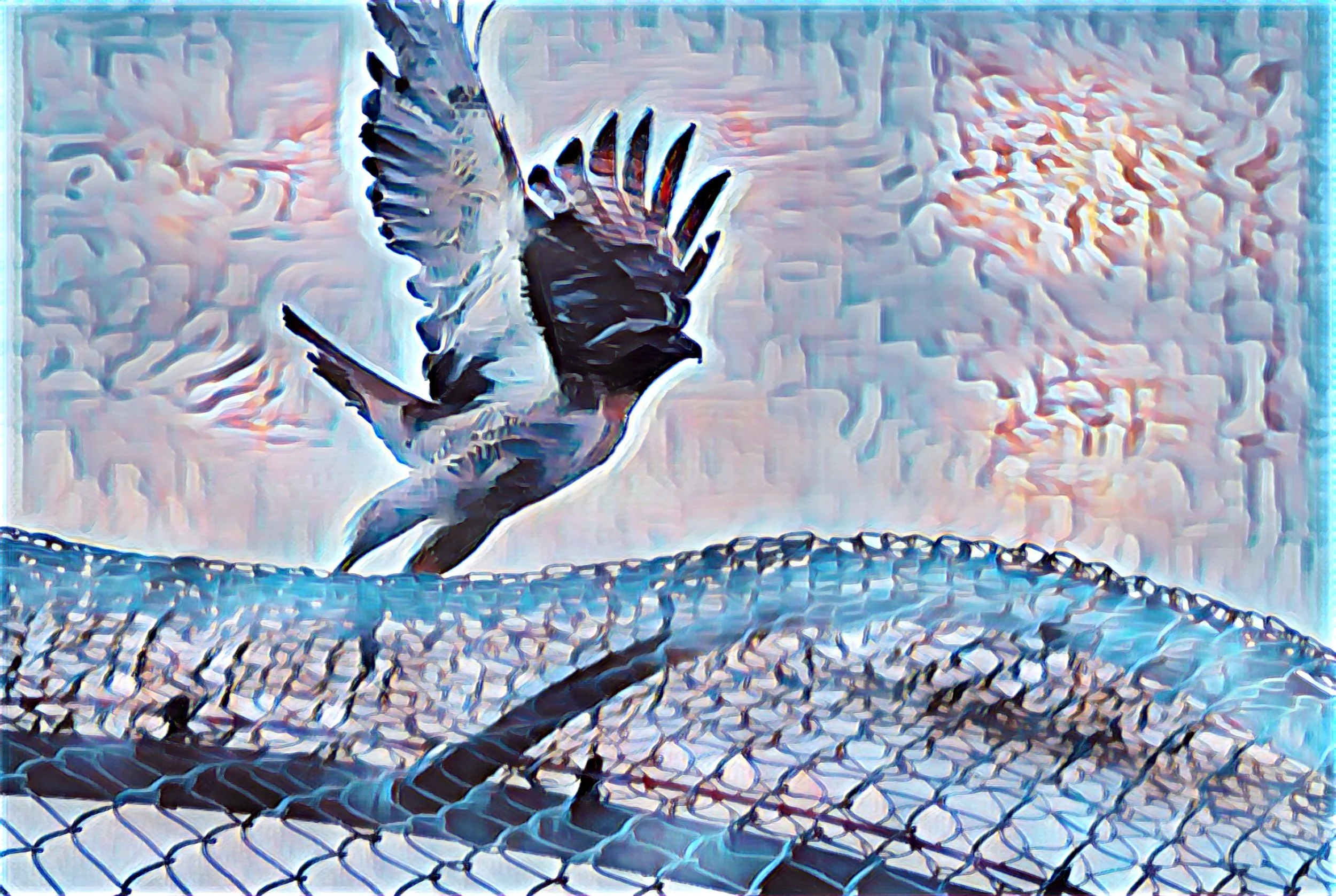 IMG_6476.jpeg