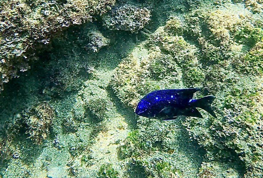 Screenshot 2026-01-08 at 3.56.09 PM.jpeg