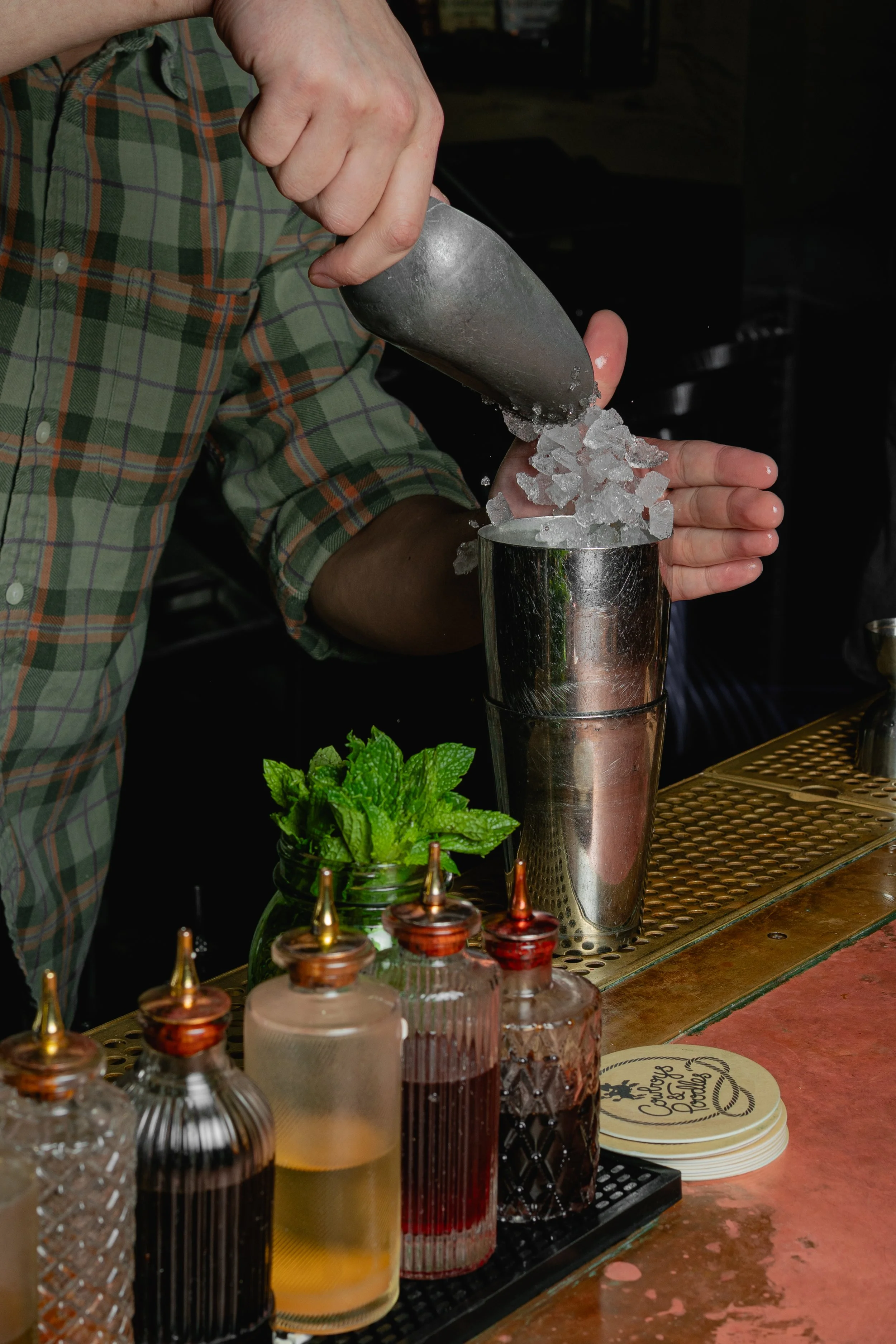 DSC02461.jpg