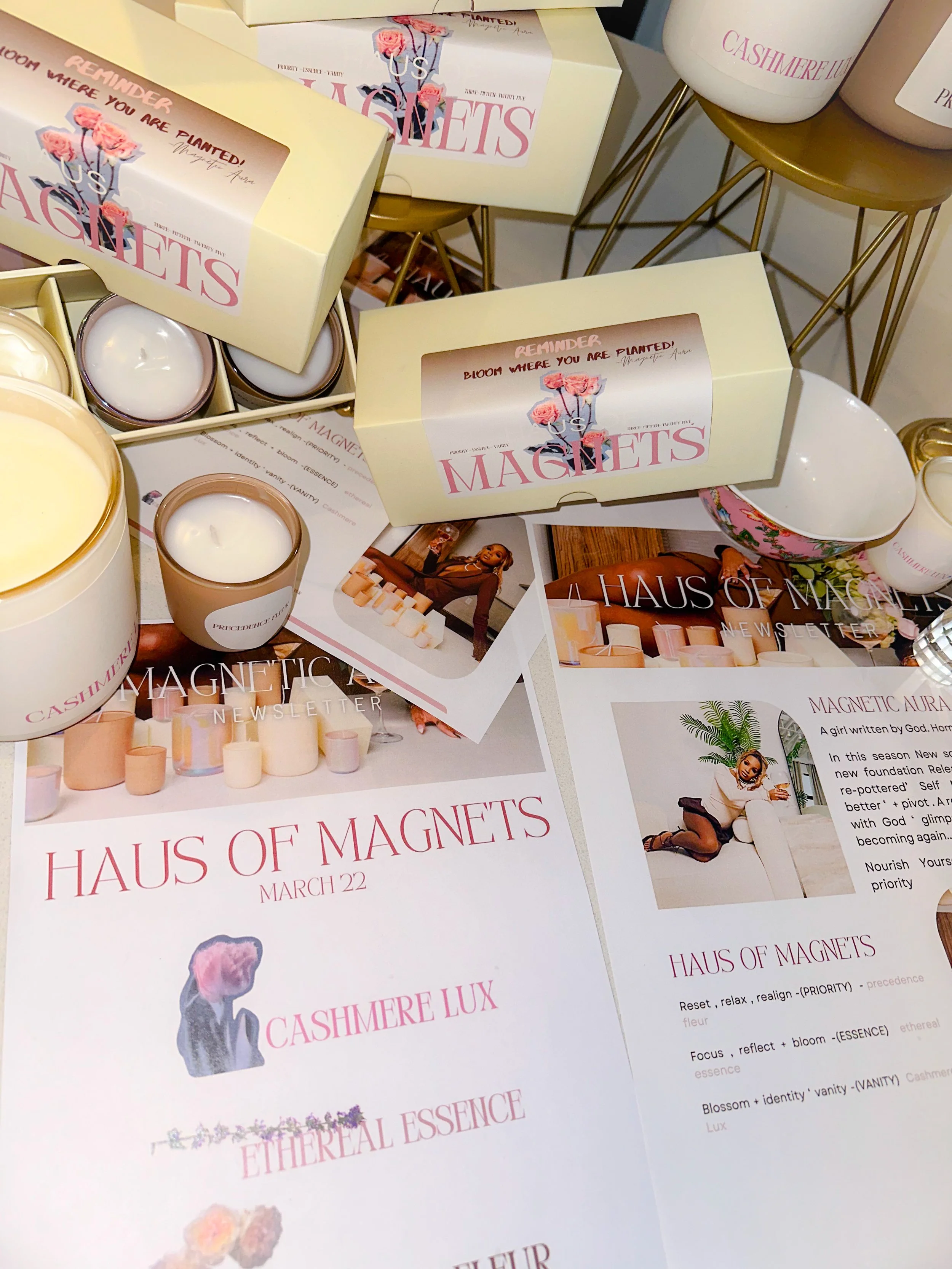 Haus of Magnet Deluxe