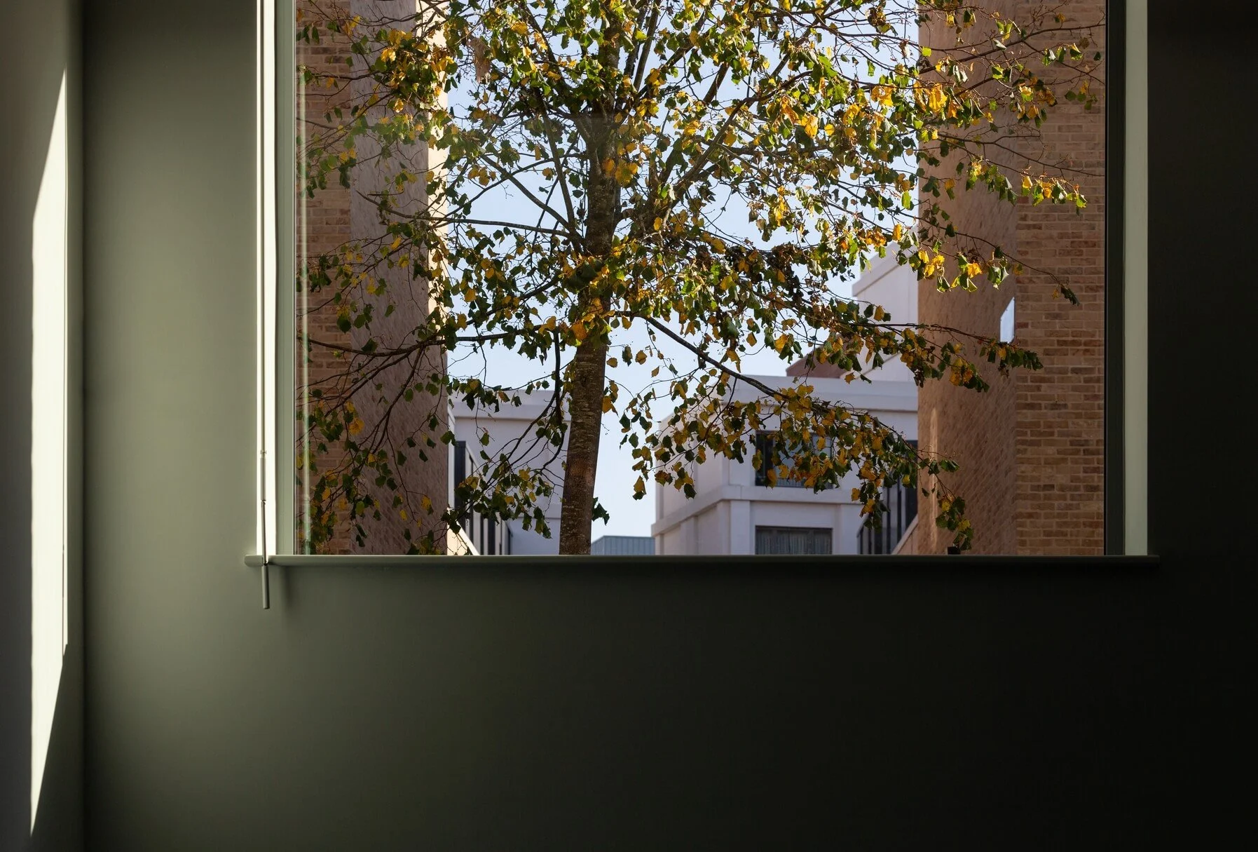 Perkins-&-Will-School-360-London-Photograph-011.jpg