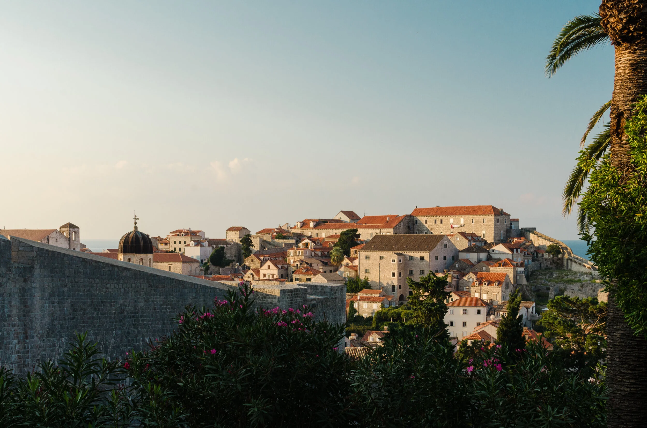 DSC_0122.jpg