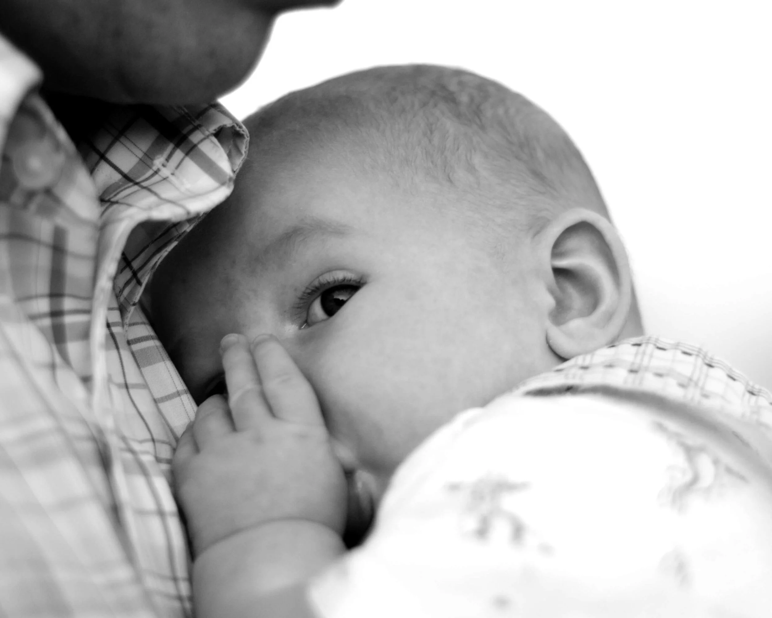 Ashley_s best-12.jpg