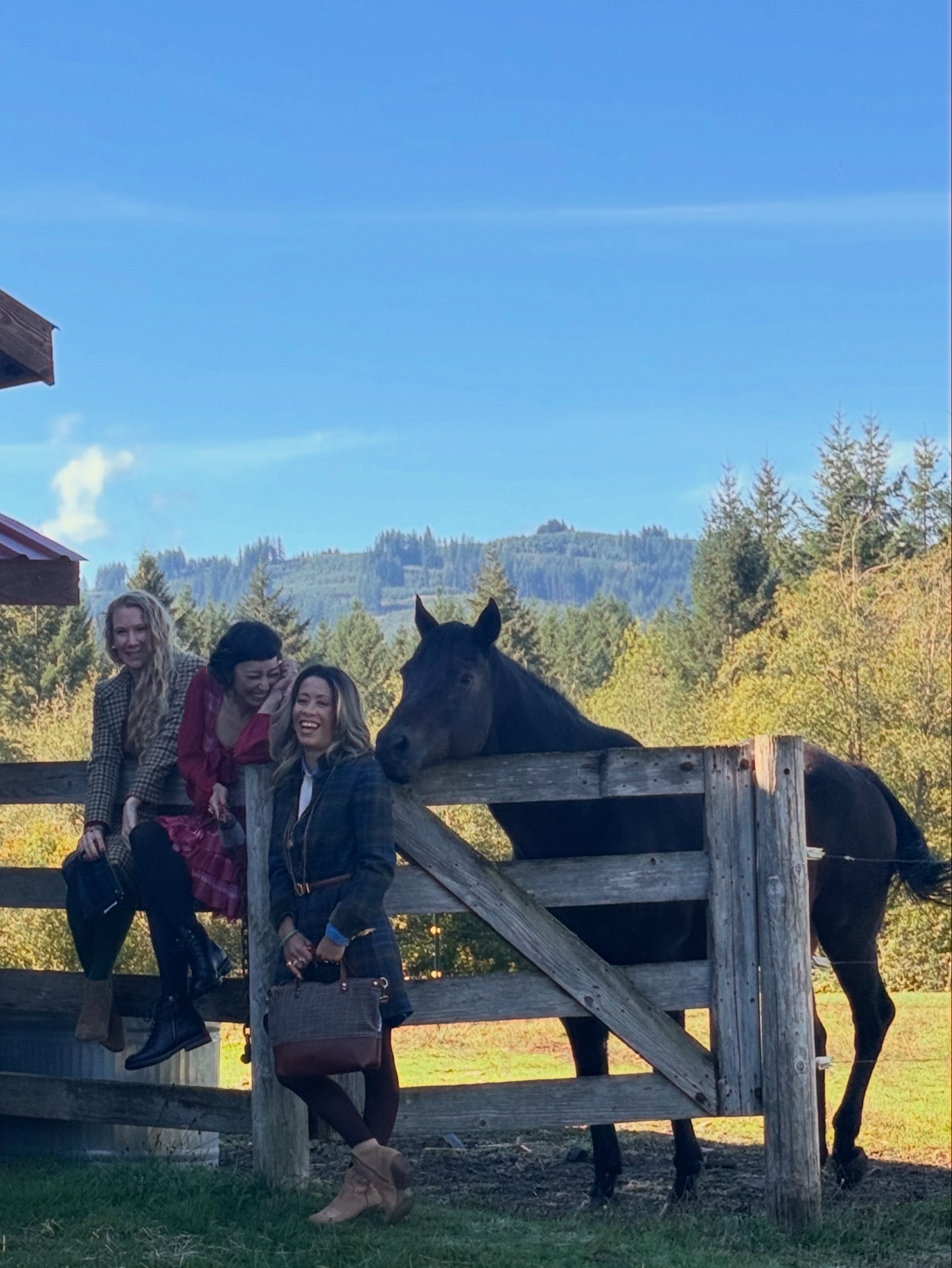 Mister 🐴 couldn&rsquo;t get enough of Mae&rsquo;s hair in this shot.  Can&rsquo;t wait to see what Kate was able to capture in this 📸💛