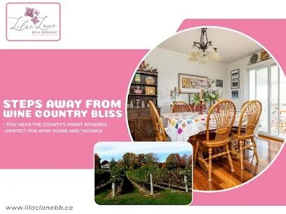 Discover the Best Accommodations Near Prince Edward County Wineries