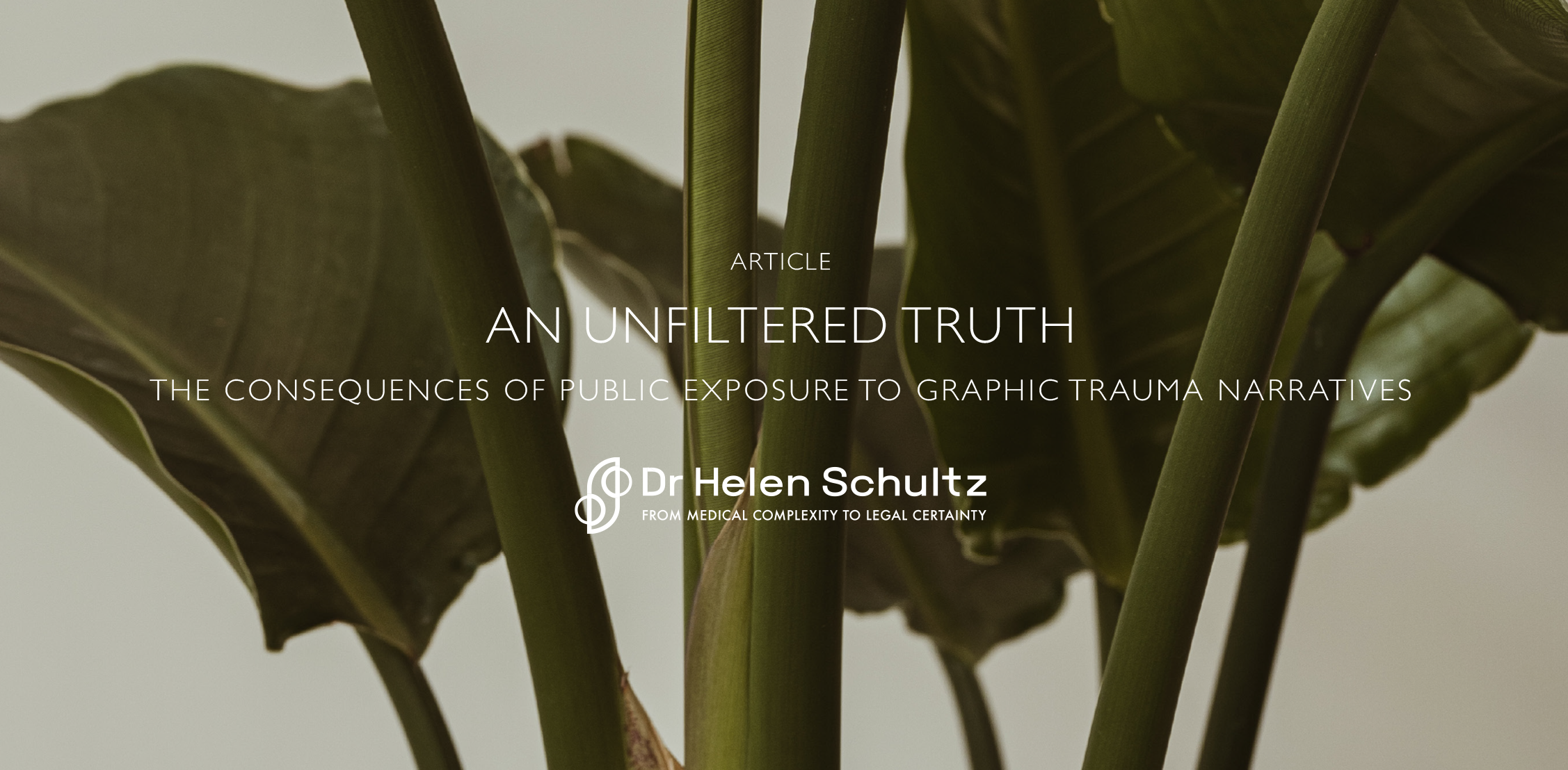 An unfiltered truth: The Consequences of Public Exposure to Graphic Trauma Narratives