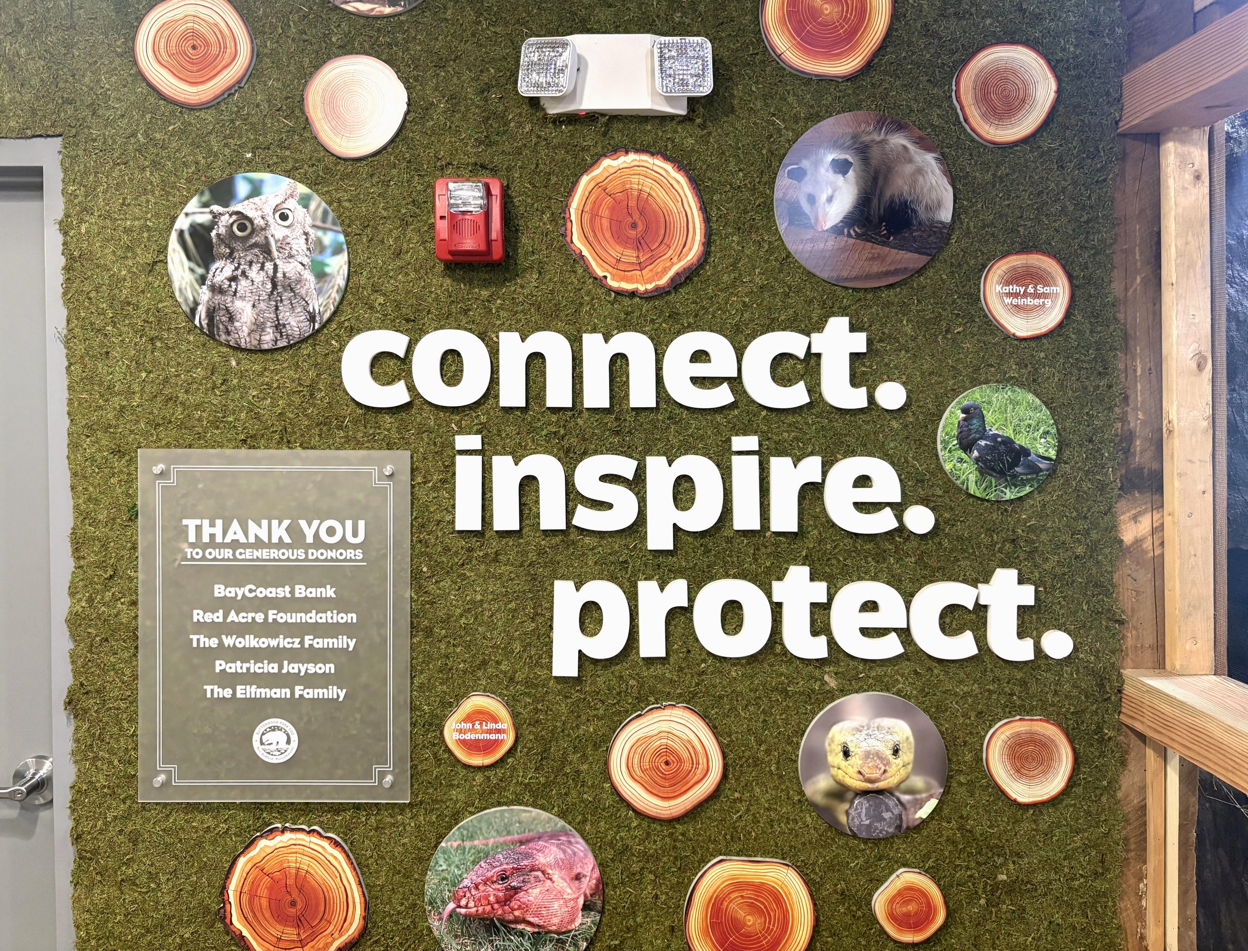 DIM - Zoological Society.jpeg