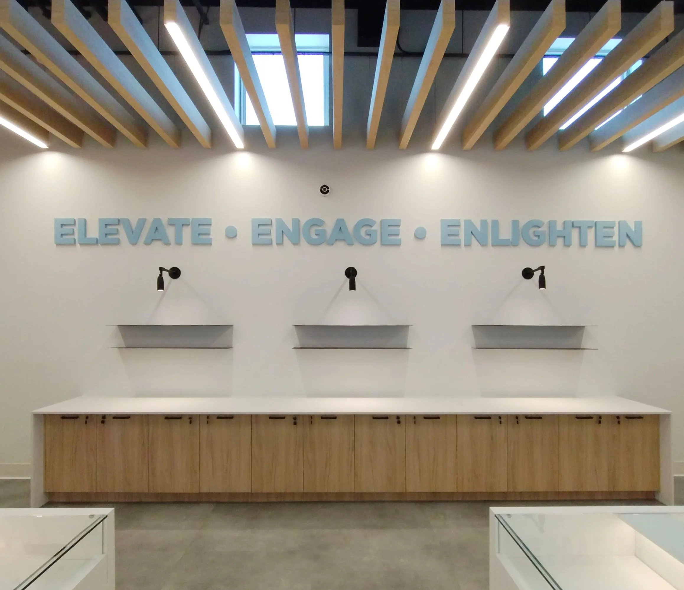 DIM - Elevated Roots.jpg