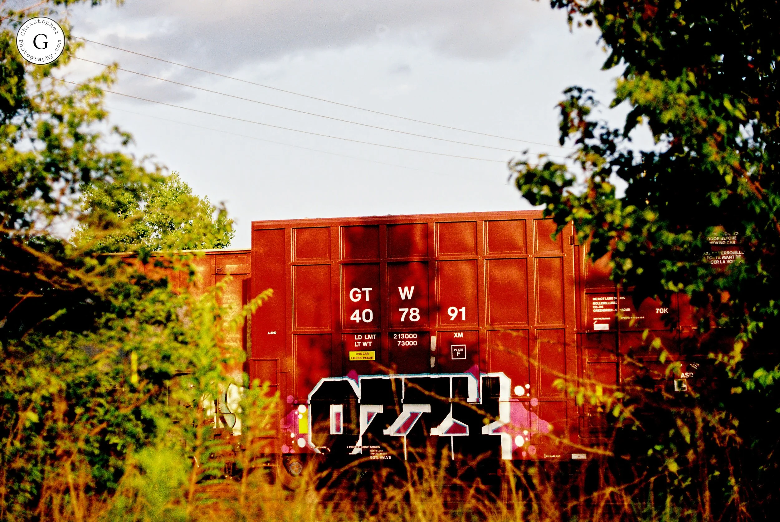 Close-up of a red freight train car with black graffiti, surrounded by green trees and grasses, under a cloudy sky shot on 35mm film .
