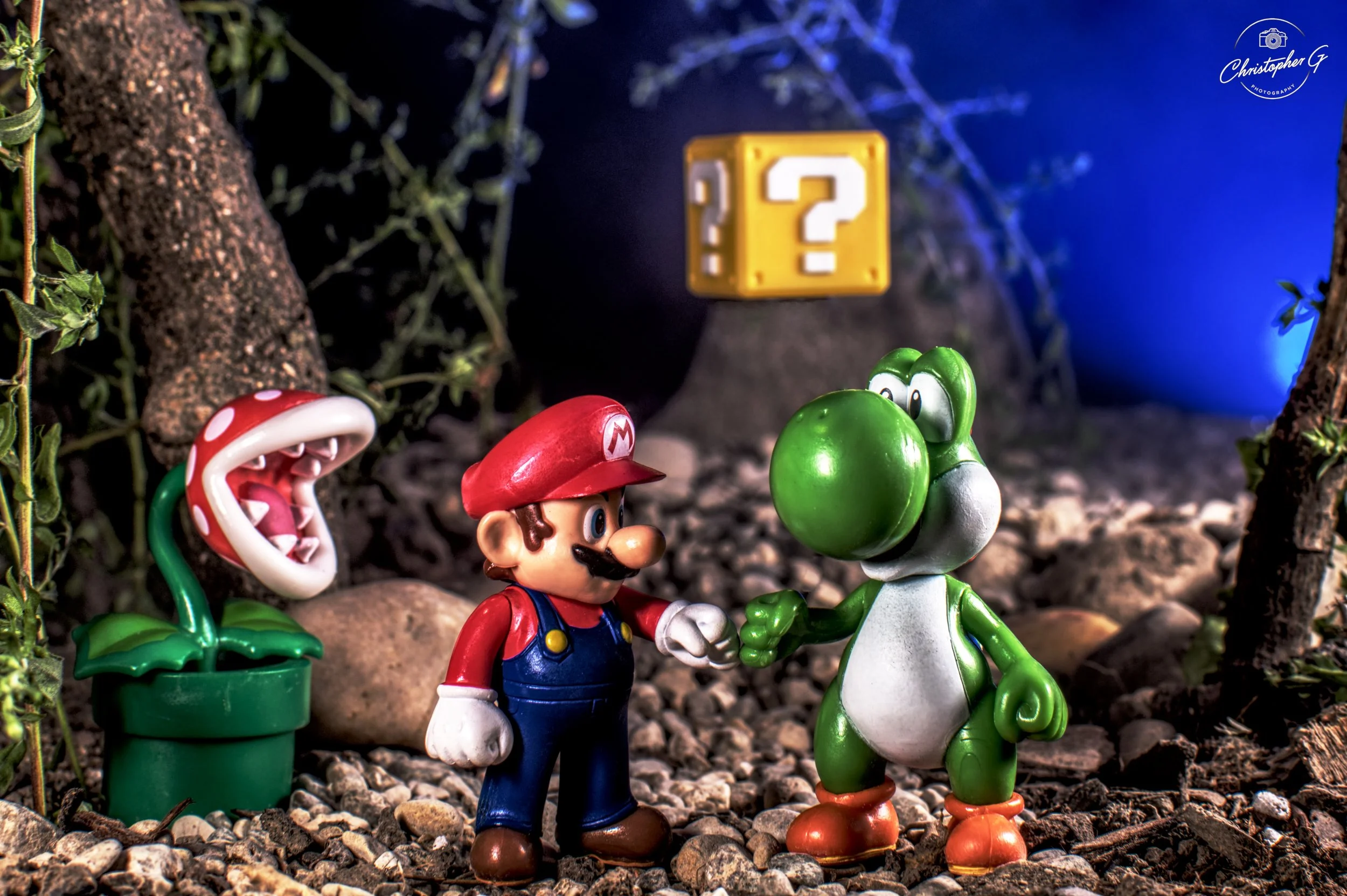 Mario and Yoshi 2.jpg