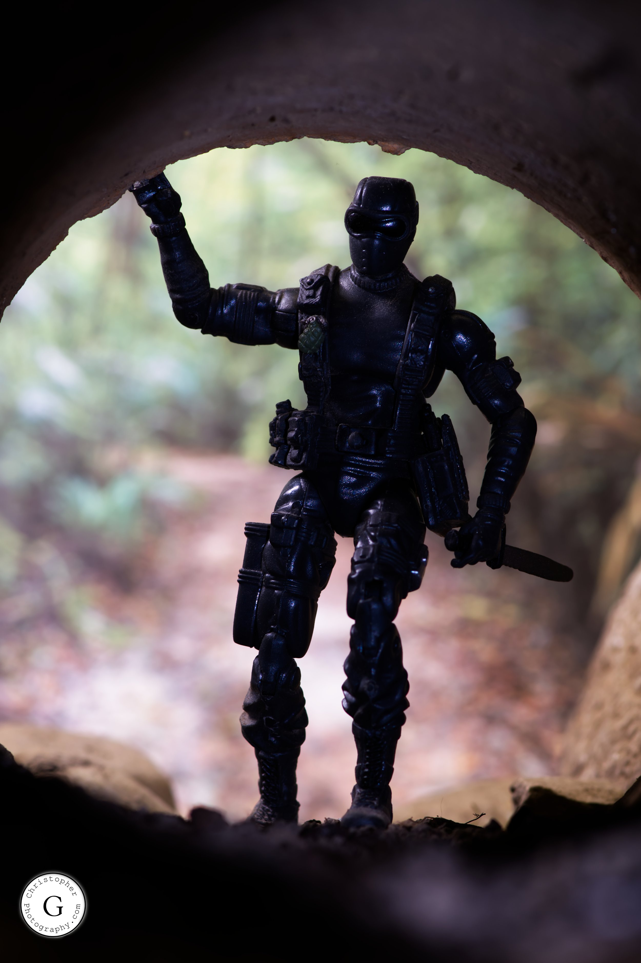 Snake Eyes in Tunnel.jpg