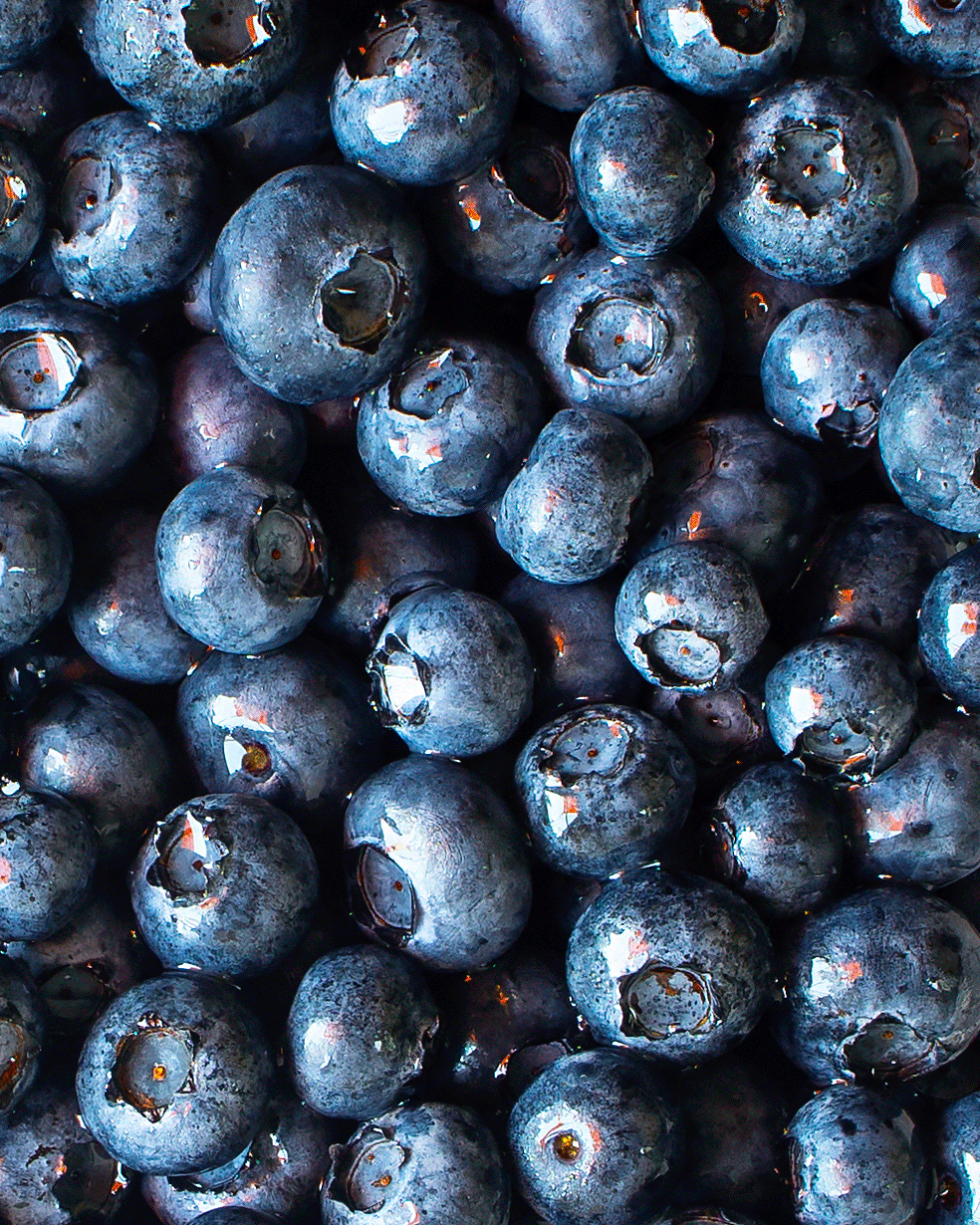 blueberries_polkdadots_insta.gif