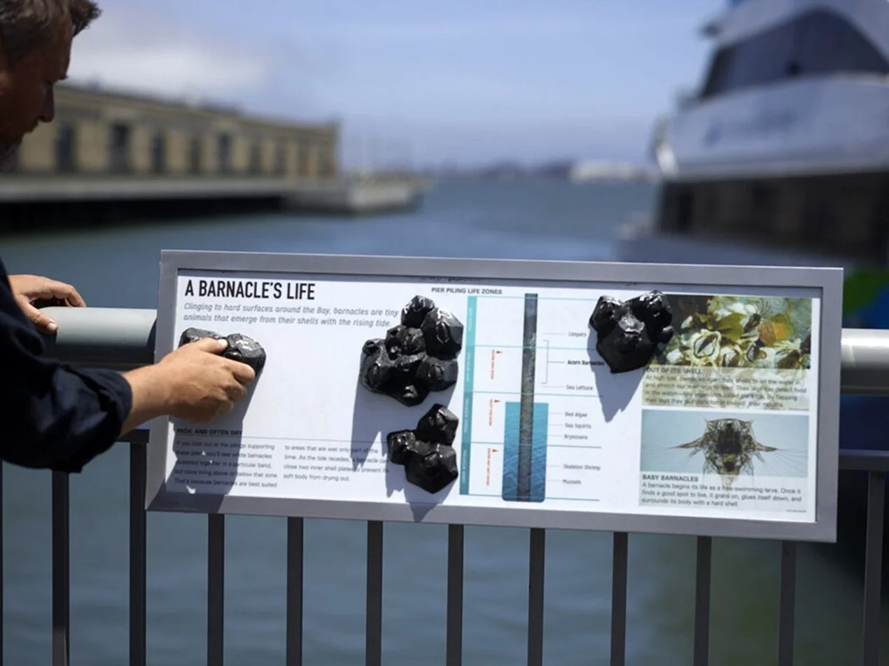 Barnacles 
Artist: Blue Barn Arts | Fabrication: Blue Barn Arts
Medium: Fabricated metal surface sculpture
Status: Complete and installed
Overall Dimensions (H × W × D): 16 x 30 x 4
Barnacles is a surface-based public artwork composed of textured met