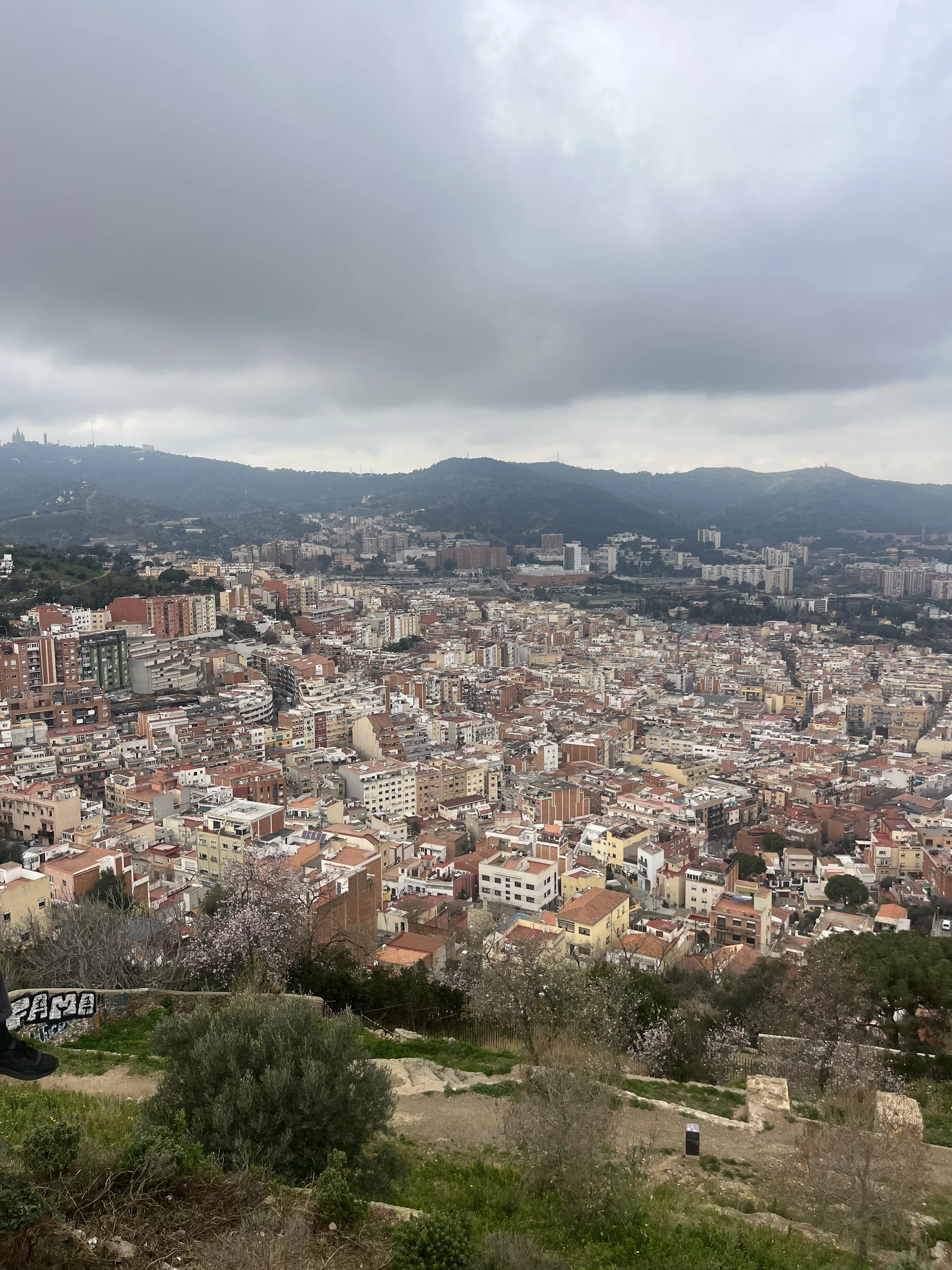 IMG_7181.jpeg