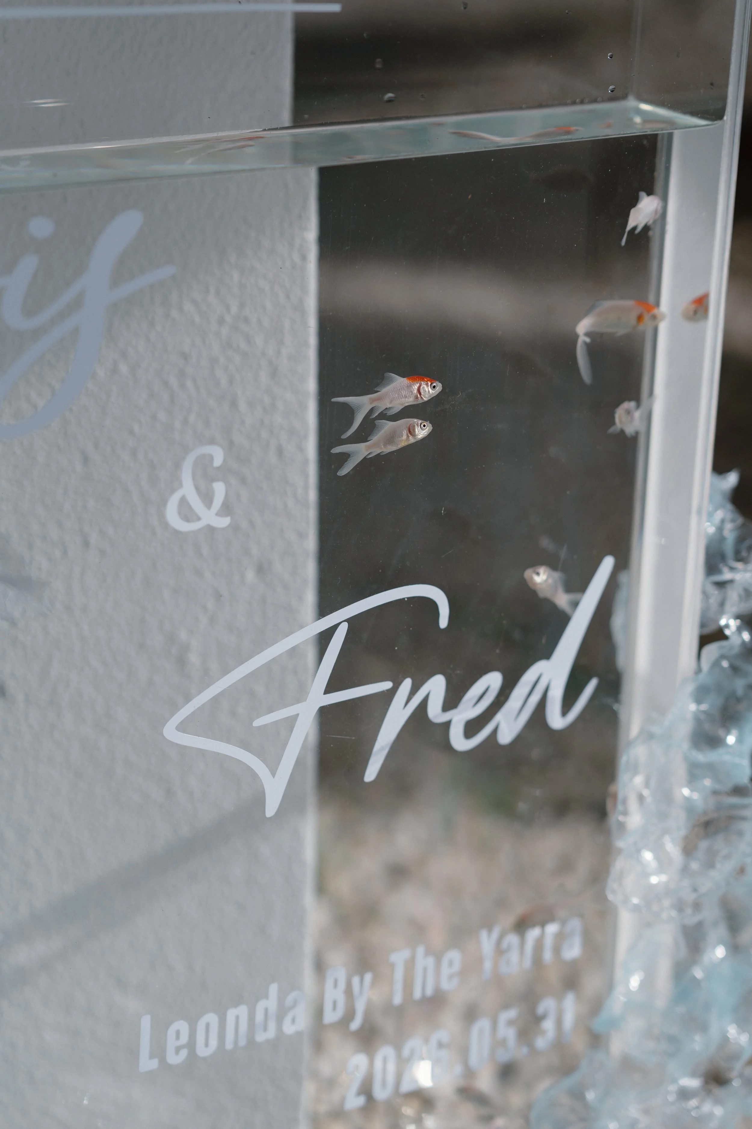 iris & fred-0204.jpg