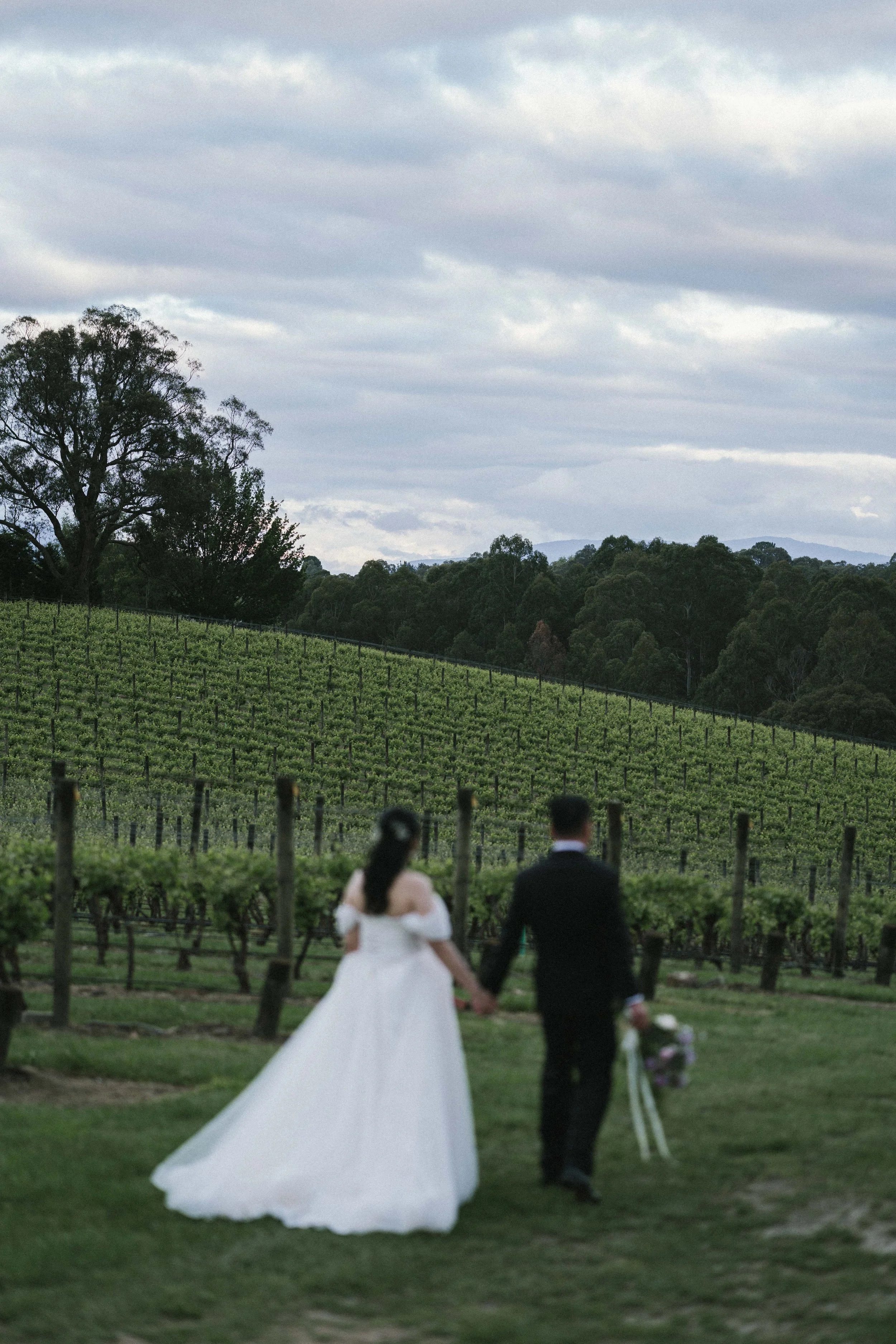 「LaterStory」09.11.2025 Zoe&Zhaoge_Yarra Ranges Estate-913.jpg