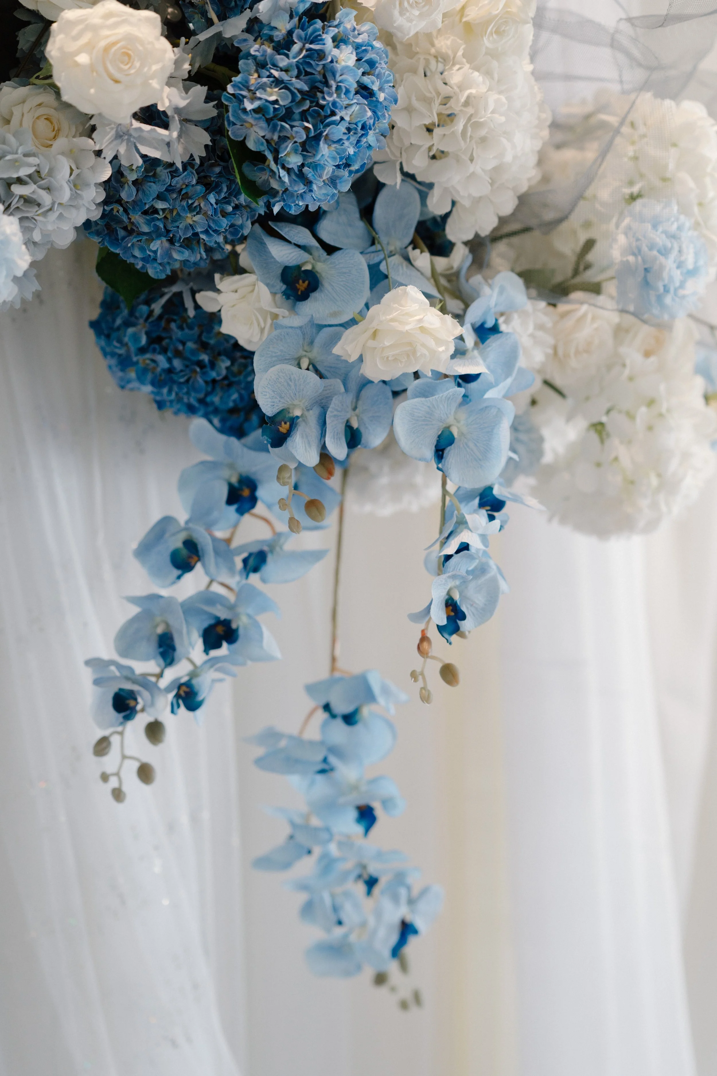 iris & fred-0155.jpg
