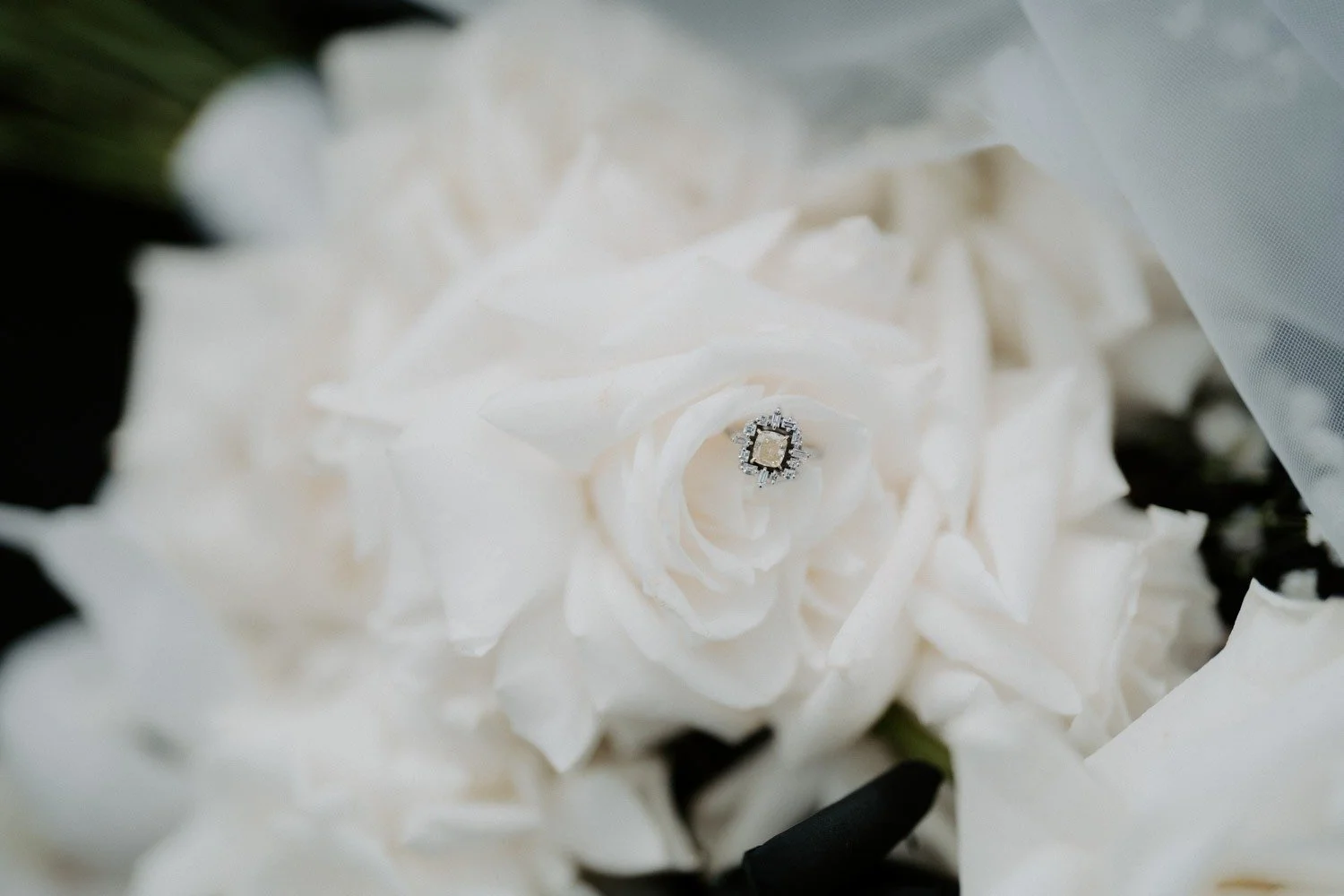 imgi_104_Melbourne-Wedding-Photography-「LaterStory」09.12.2022-Xiaoming-_-Kendell-102.jpg