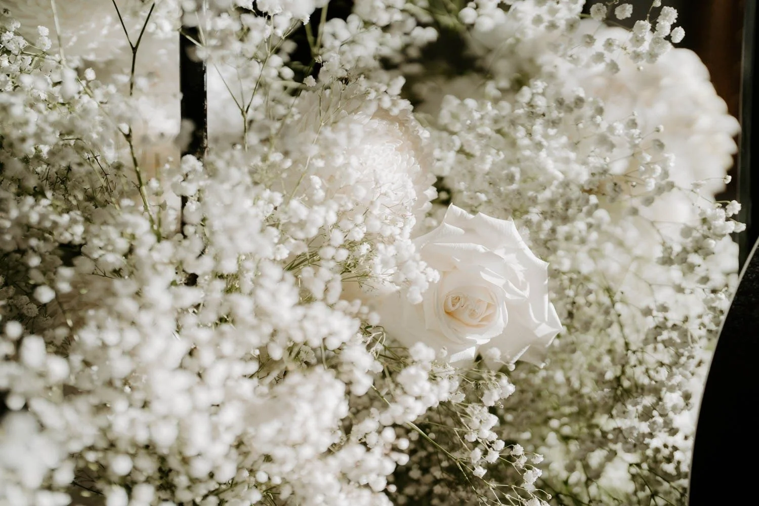 imgi_350_Melbourne-Wedding-Photography-「LaterStory」09.12.2022-Xiaoming-_-Kendell-348.jpg