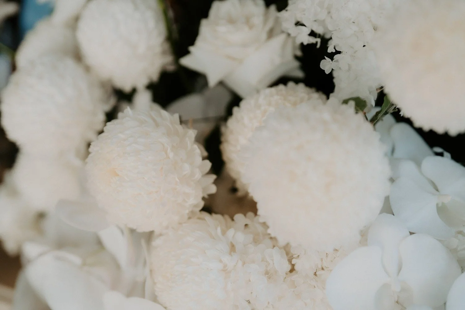 imgi_347_Melbourne-Wedding-Photography-「LaterStory」09.12.2022-Xiaoming-_-Kendell-345.jpg