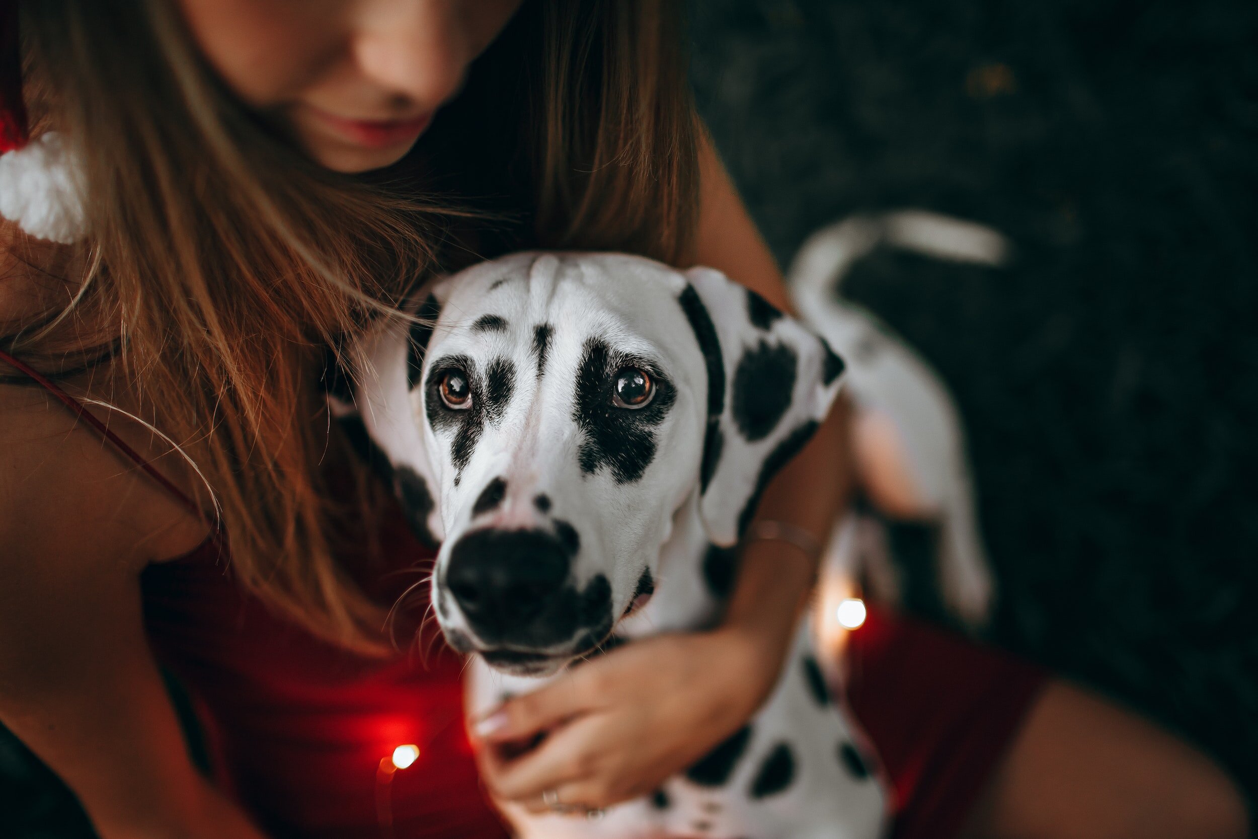 Crystals: Dalmatian