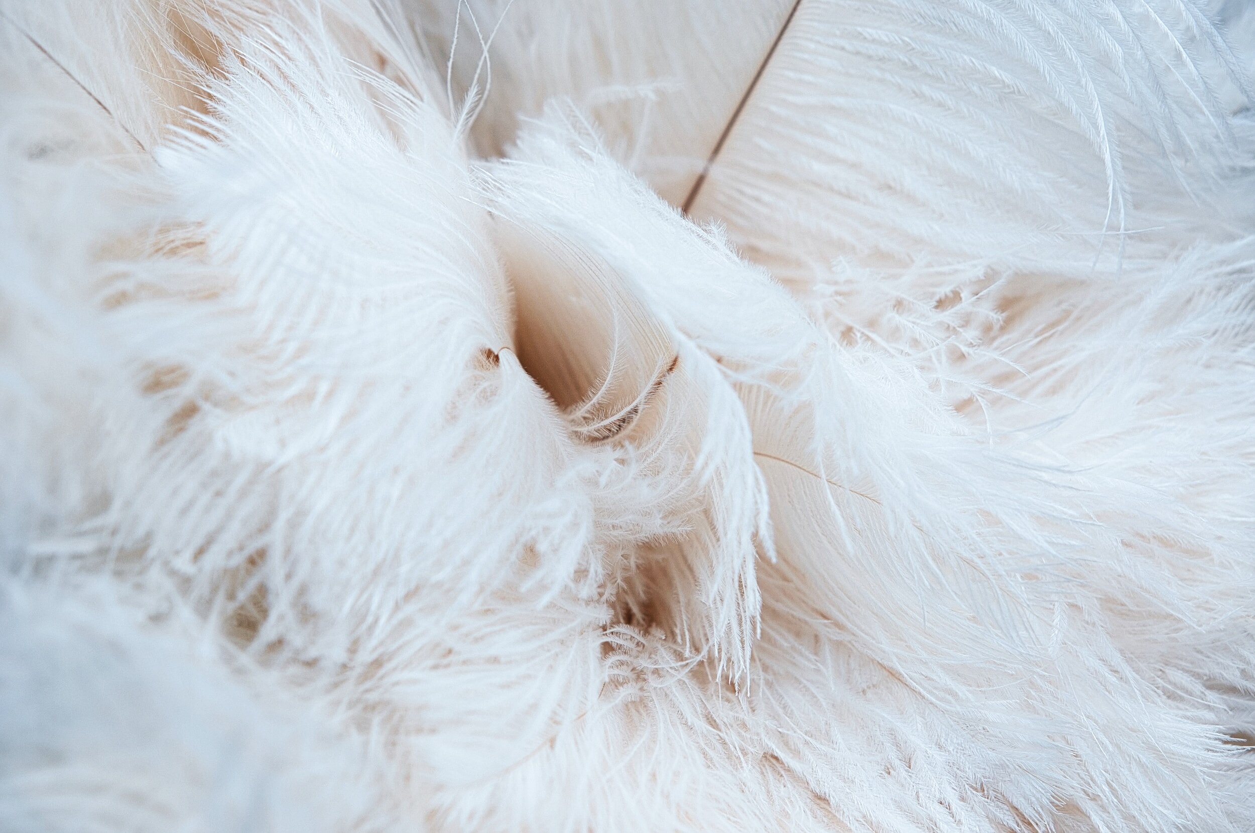 Crystals: Angelite