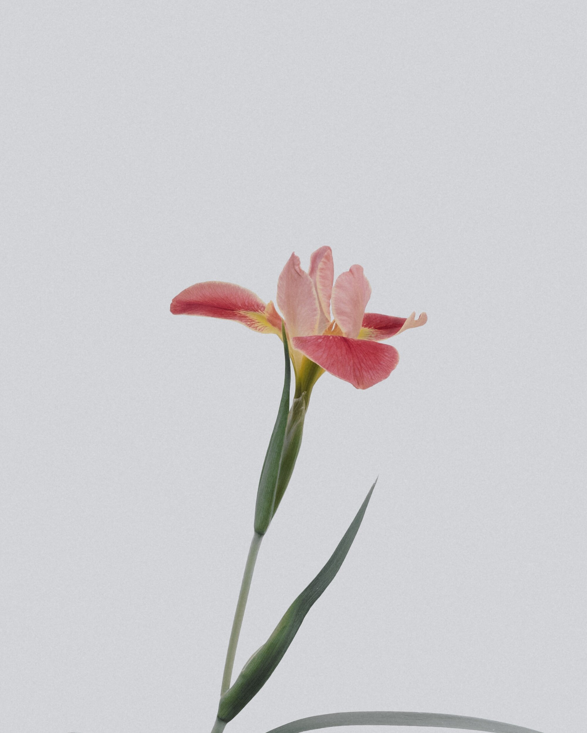 Nodal Shift: Reflecting on change