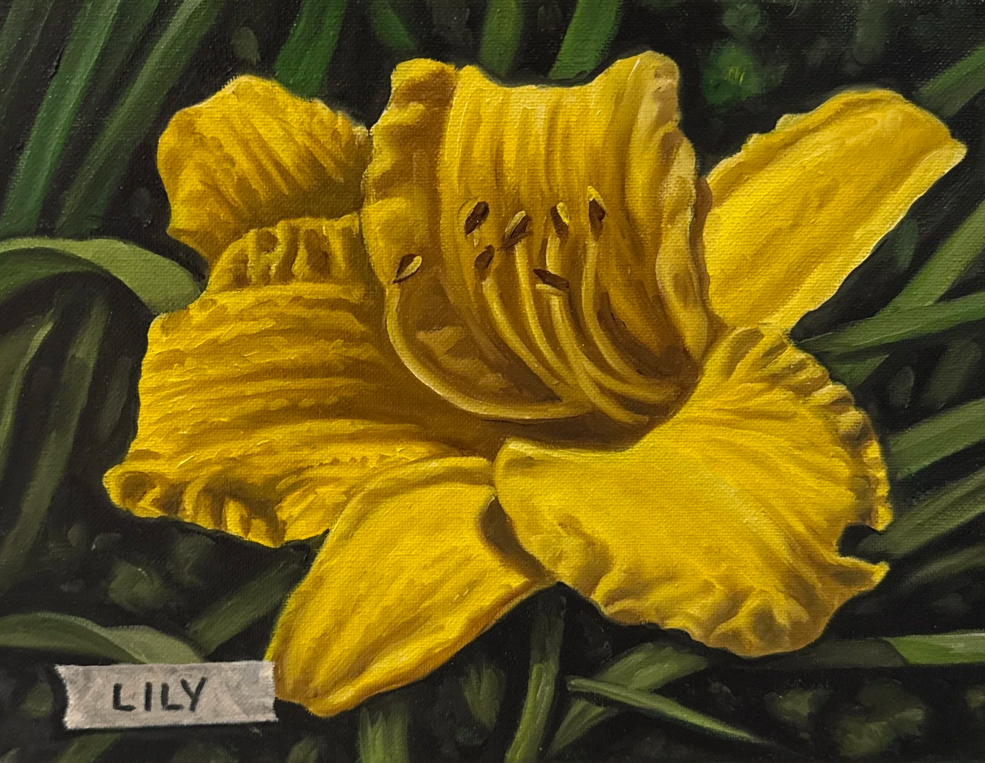 MICHAEL PYRDSA "LILY WITH TAPE" - OIL ON CANVAS - 9"X12" - $300