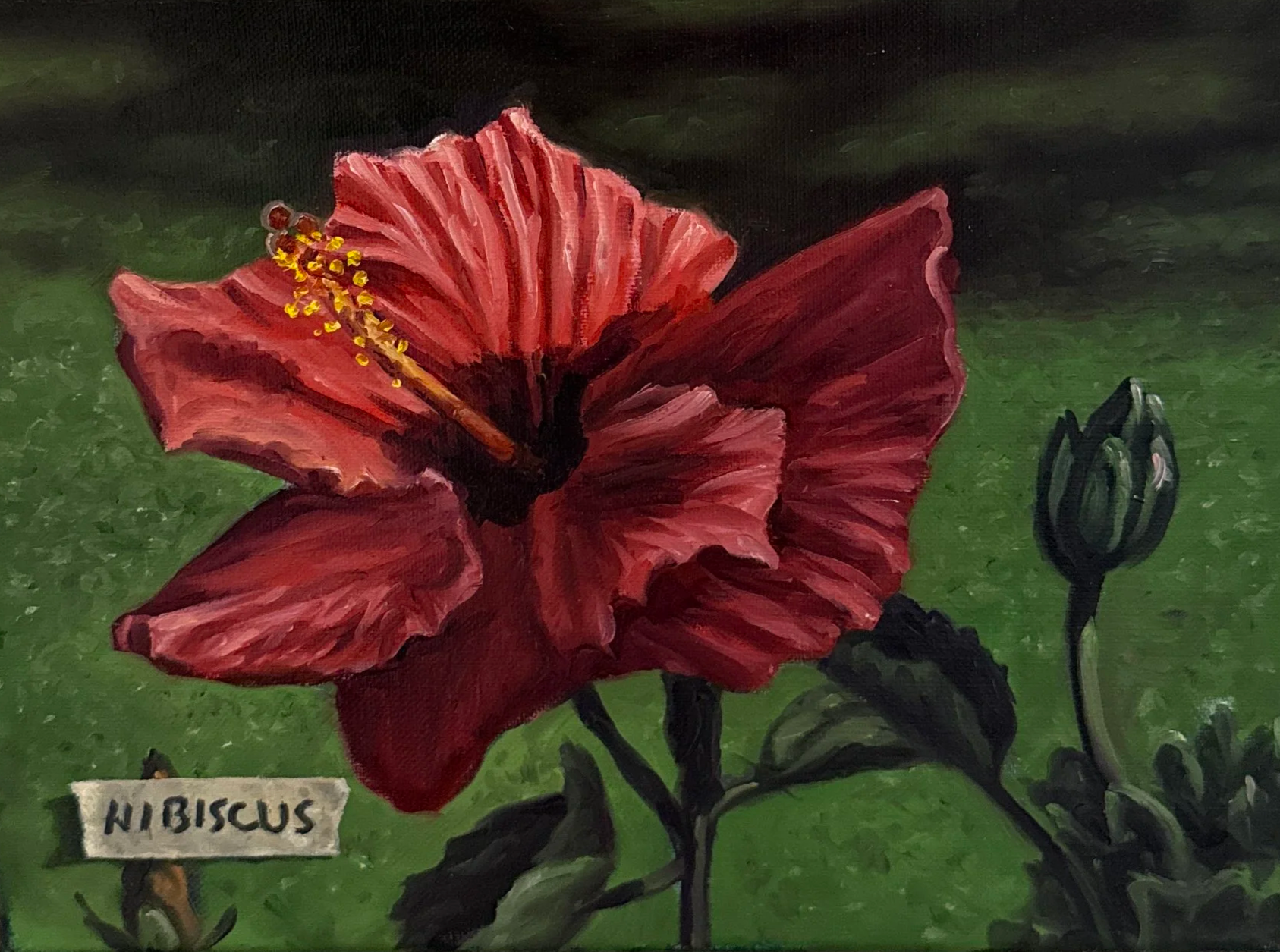 SOLD - MICHAEL PYRDSA "HIBISCUS WITH TAPE 1" - OIL ON CANVAS - 9"X12" - $300