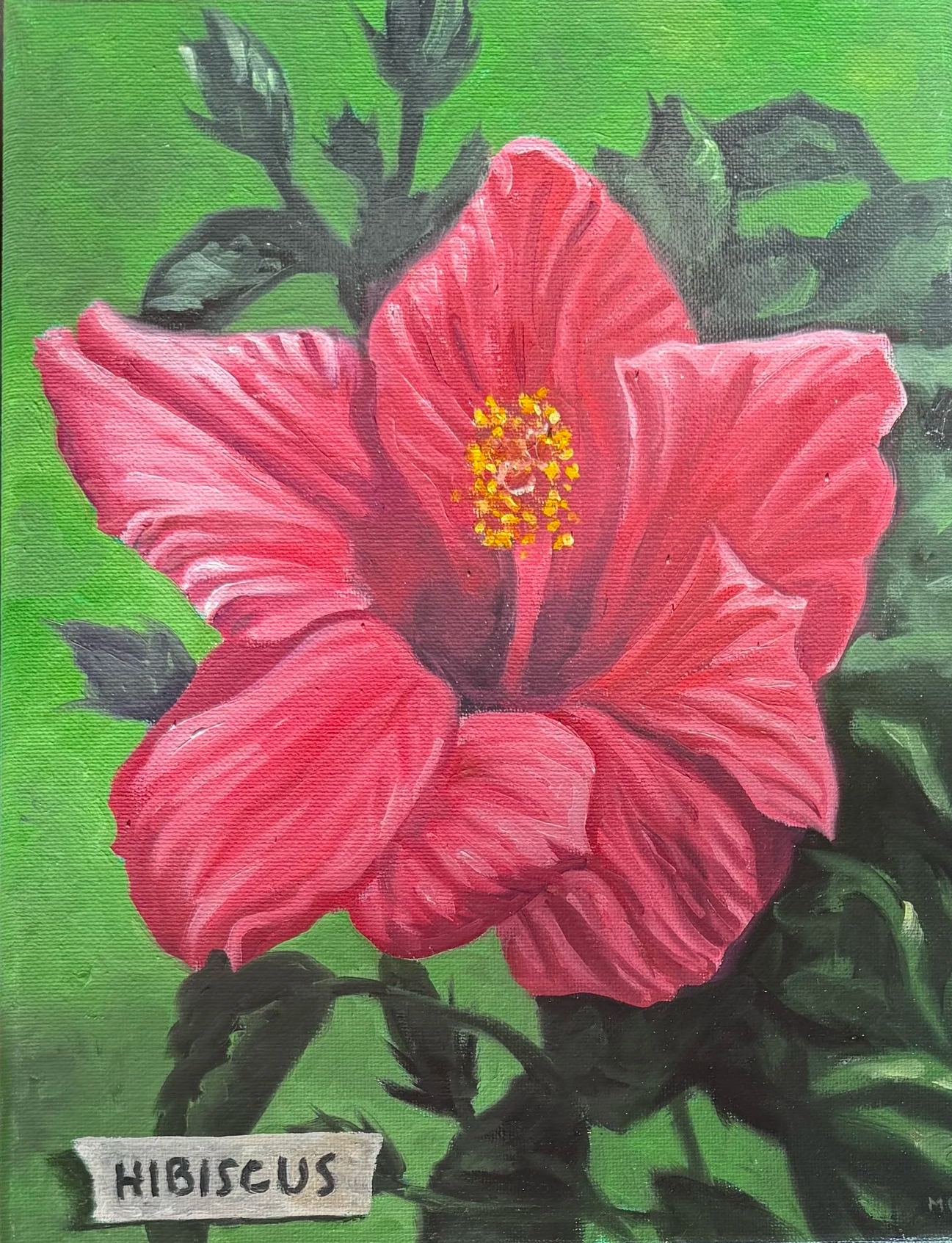 MICHAEL PYRDSA "HIBISCUS WITH TAPE 2" - OIL ON CANVAS - 12"X9" - $300