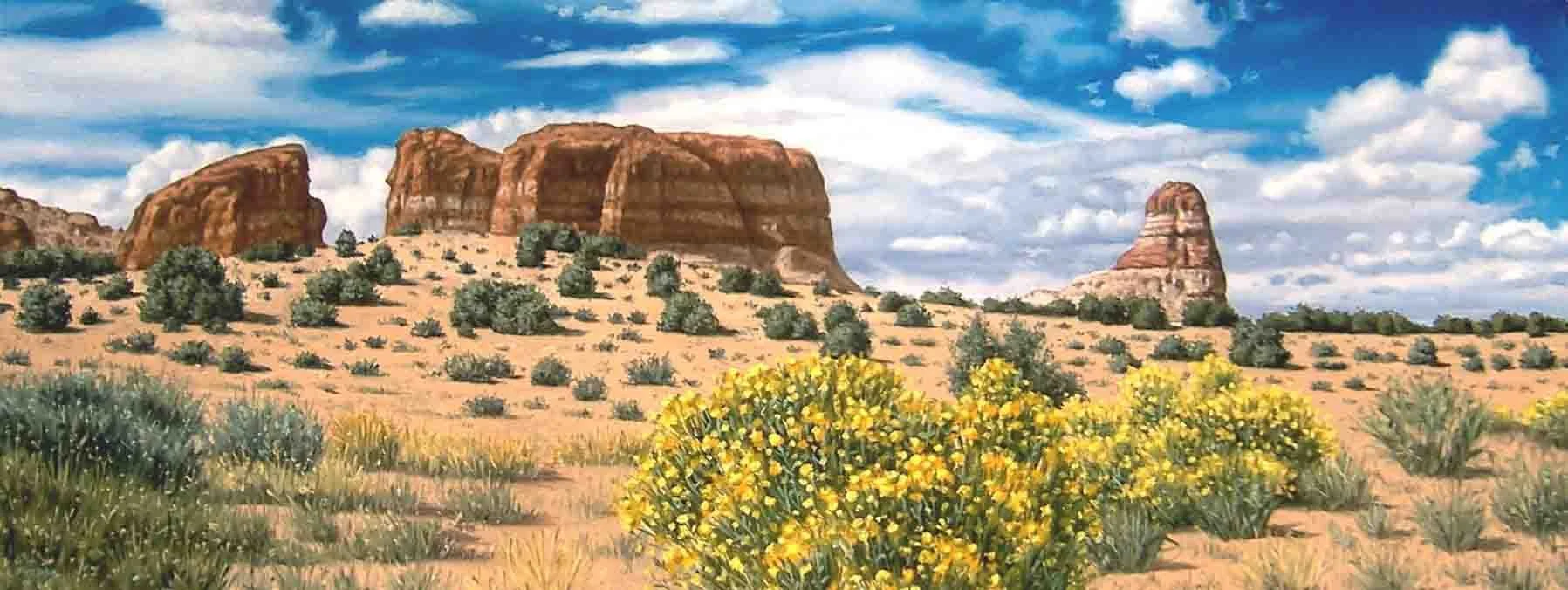 SOLD - MICHAEL PYRDSA "DESERT FLOWERS, ROUTE 98" - OIL ON CANVAS - $1800