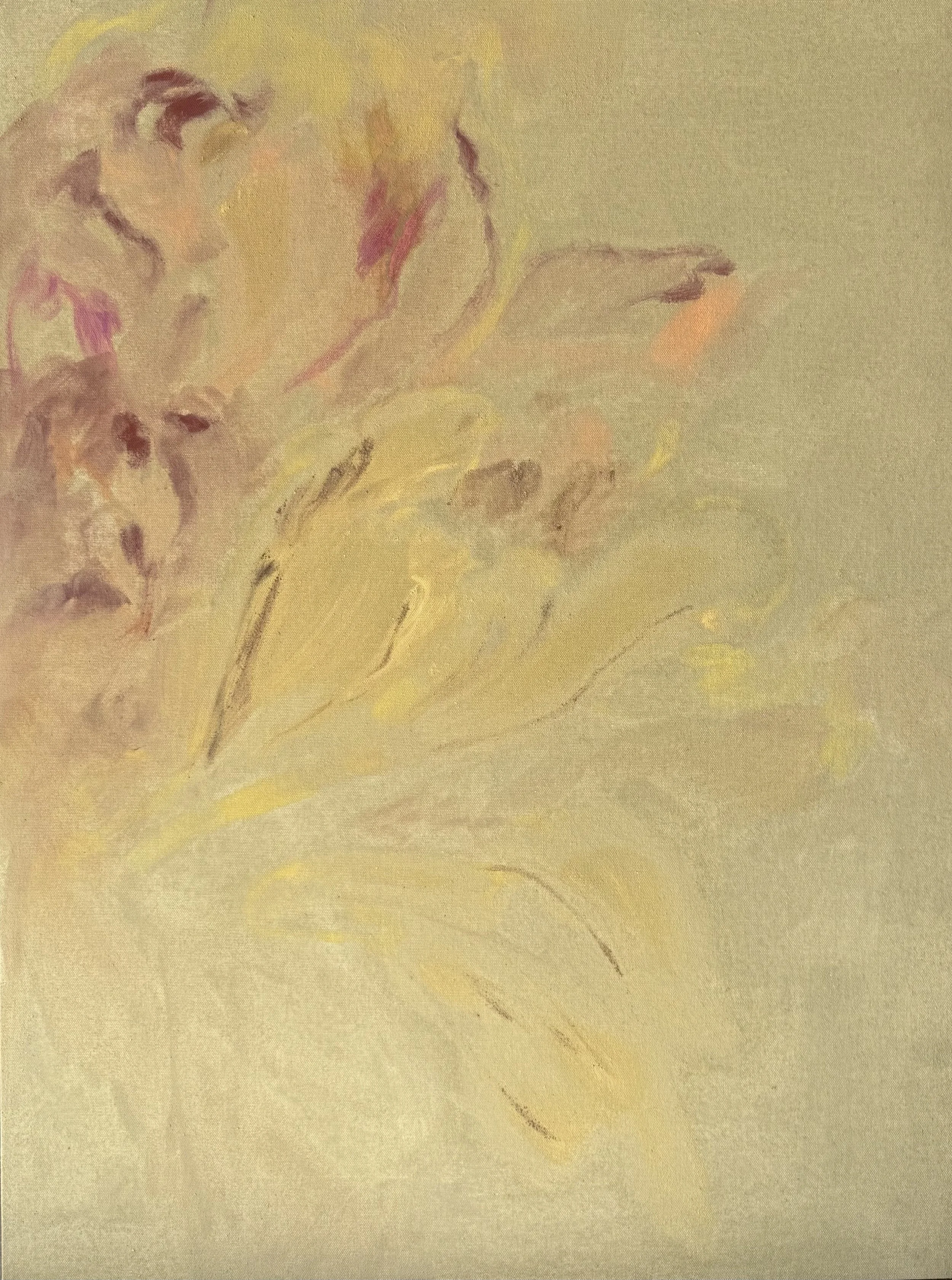 MEG JORGENSON "HONEY DEW BLOSSOM" - EARTH PIGMENTS ON CANVAS - 32"X24" - $1,640