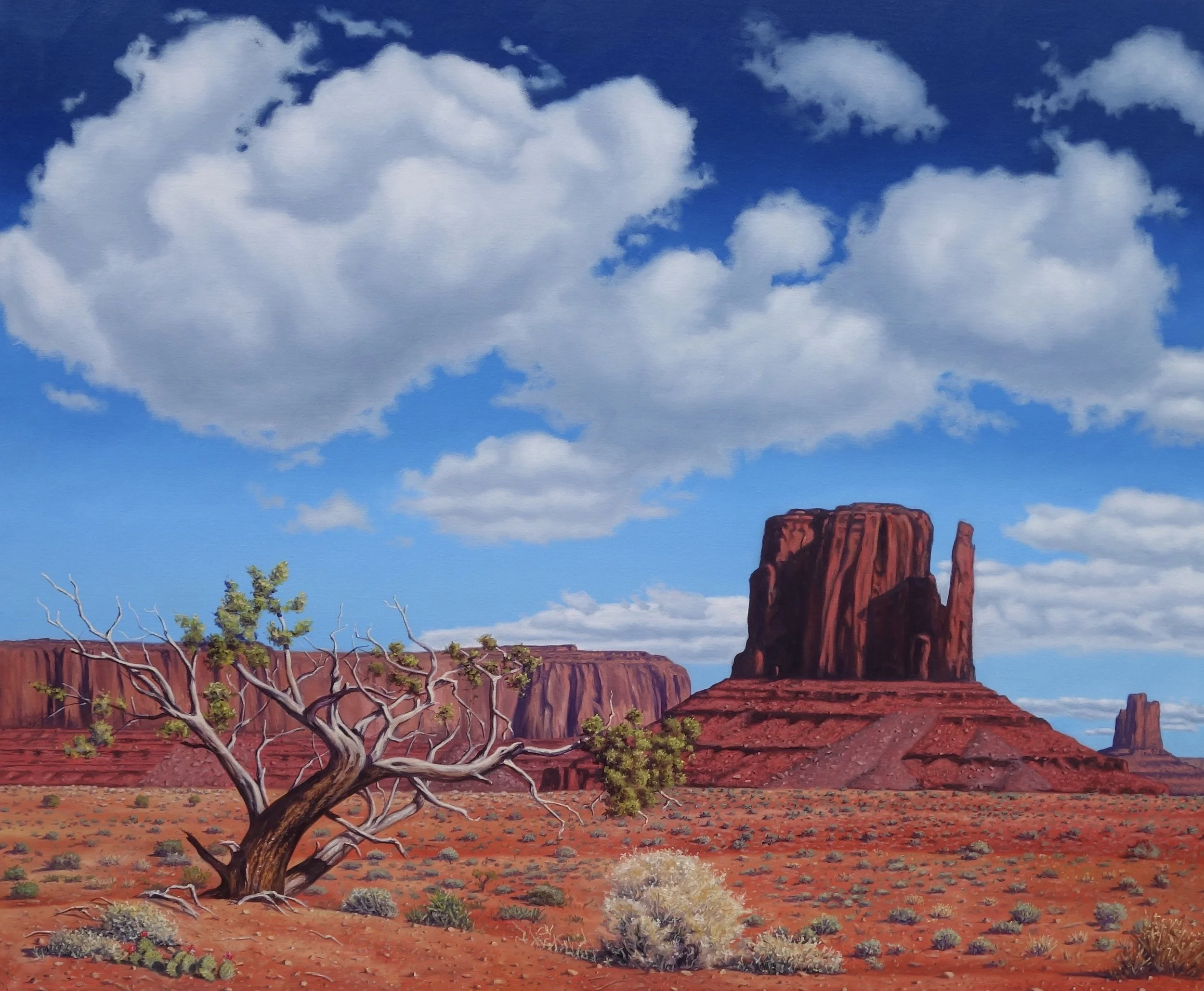 Michael Pyrdsa_West Mitten with a Juniper Tree.JPG