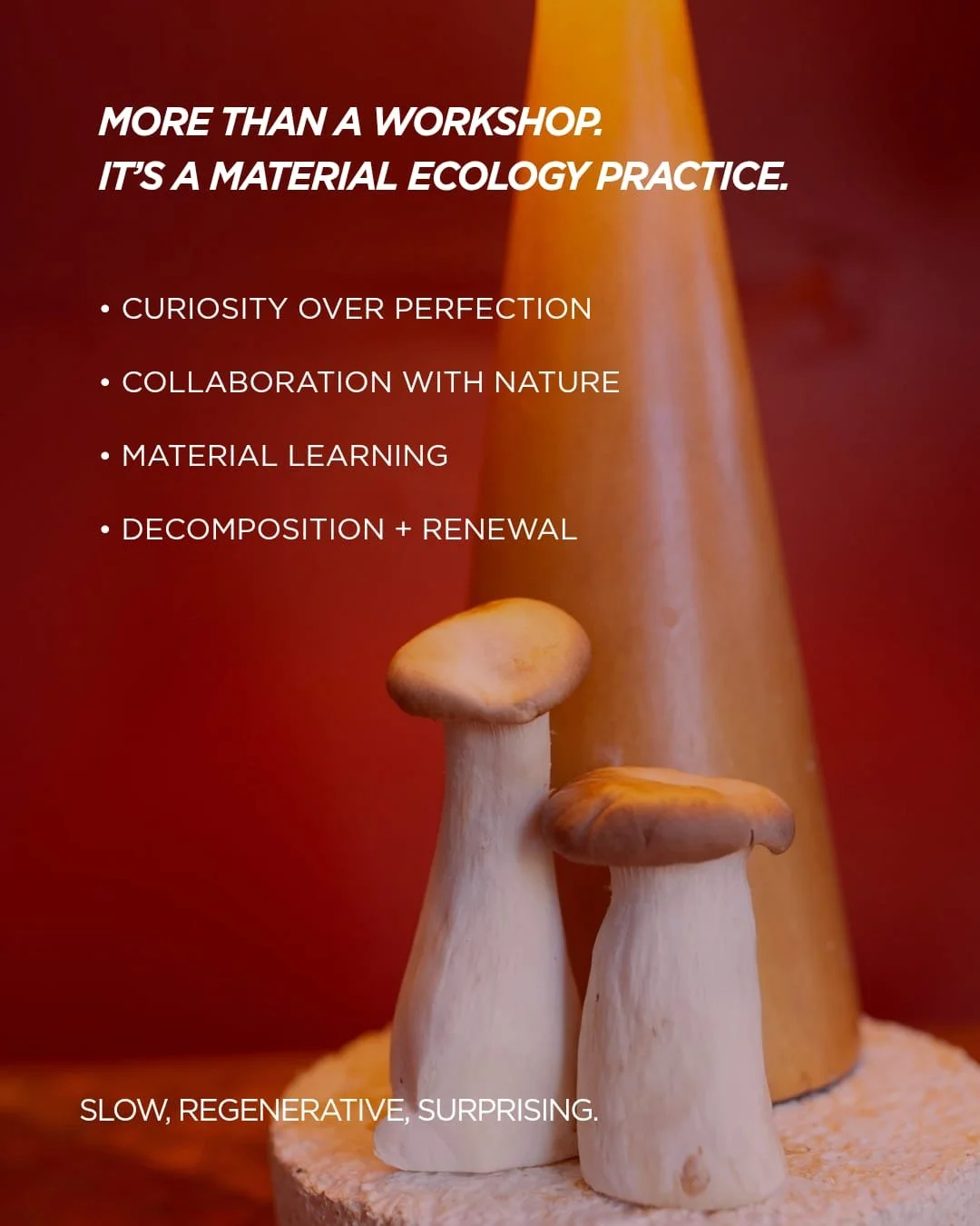 WhatsApp Image 2025-12-04 at 17.27.38_30dbcf9a.jpg (Copy)