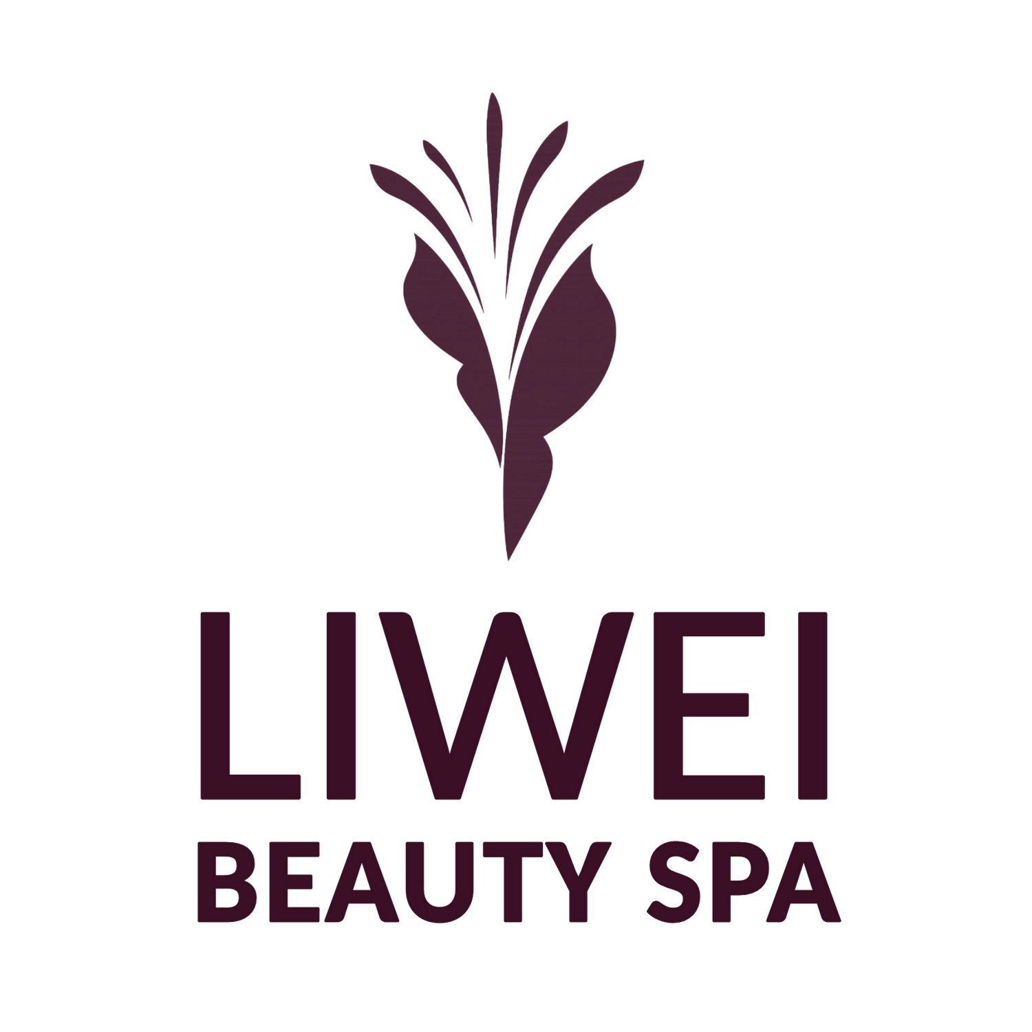 Liwei Beauty Spa