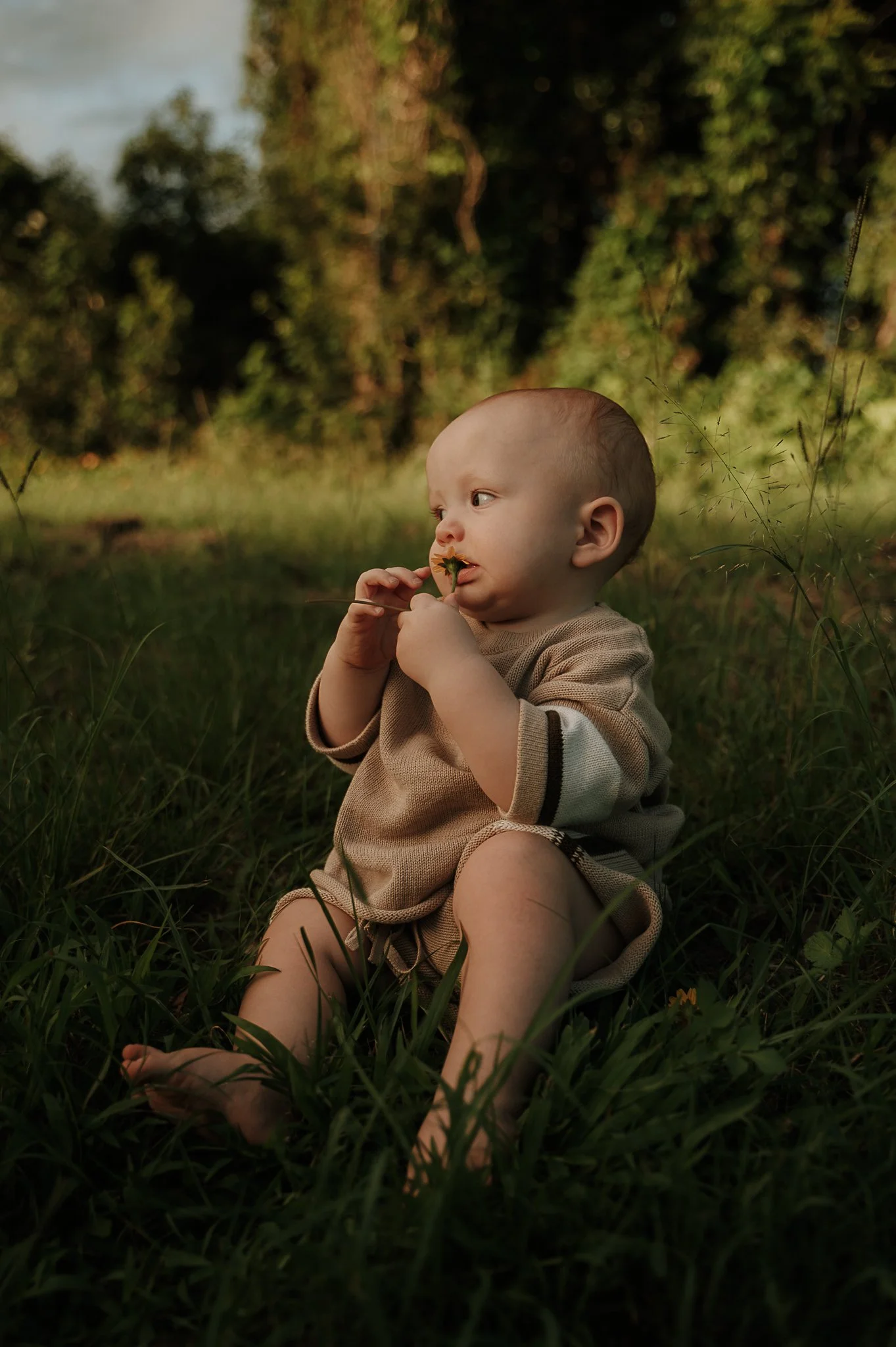 baby-examining-a-flower-alone-in-the-grass.jpg