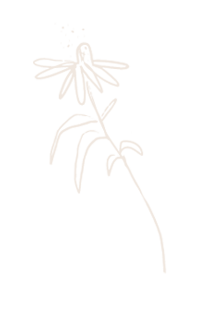 A simple white line drawing of a flowering plant with a long, curved stem, leaves, and a cluster of small flowers at the top, set against a black background.
