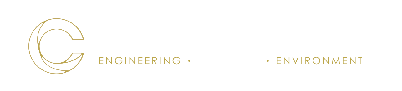 C Consulting Group