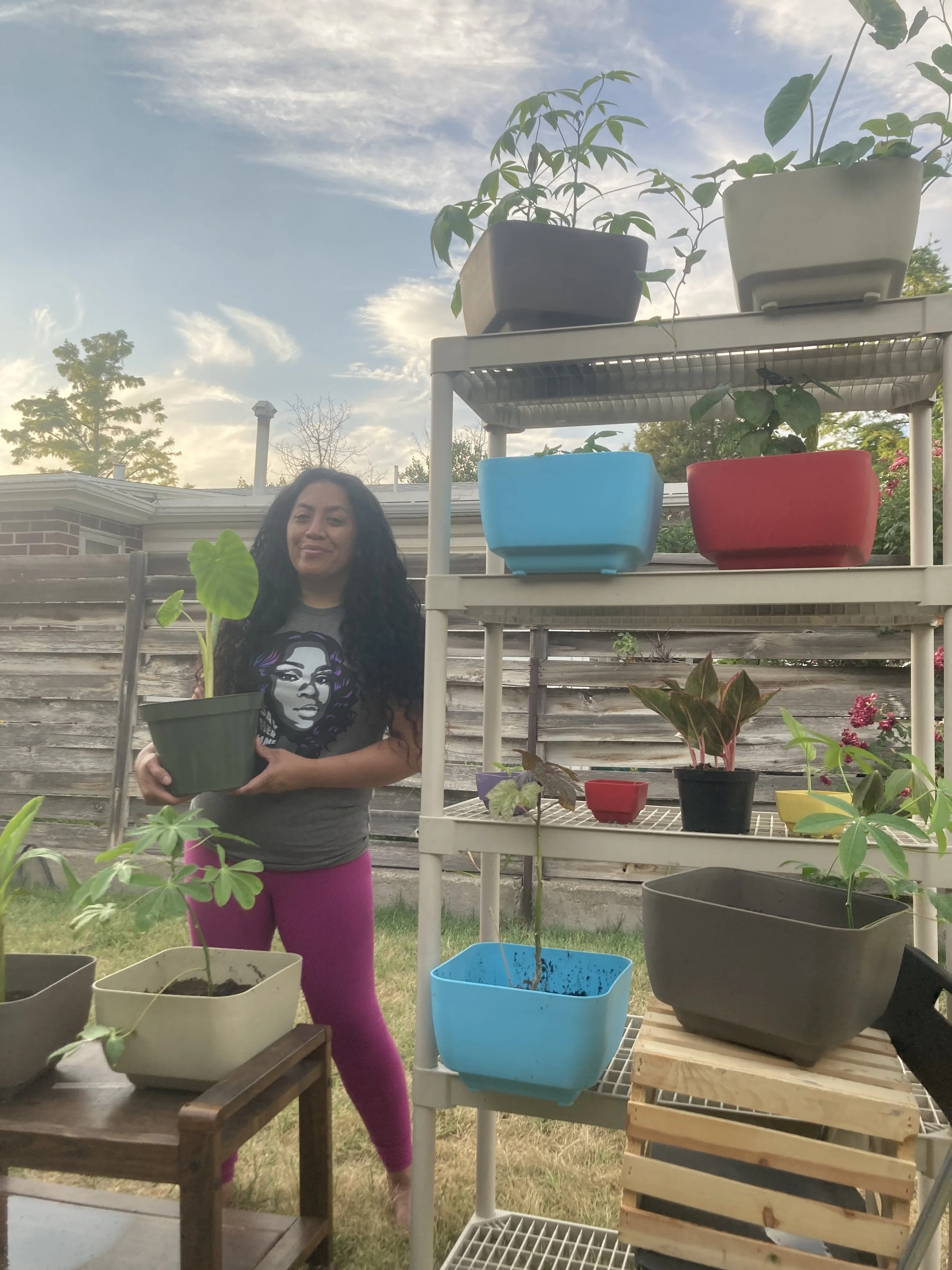 'aikona garden beginnings.jpeg