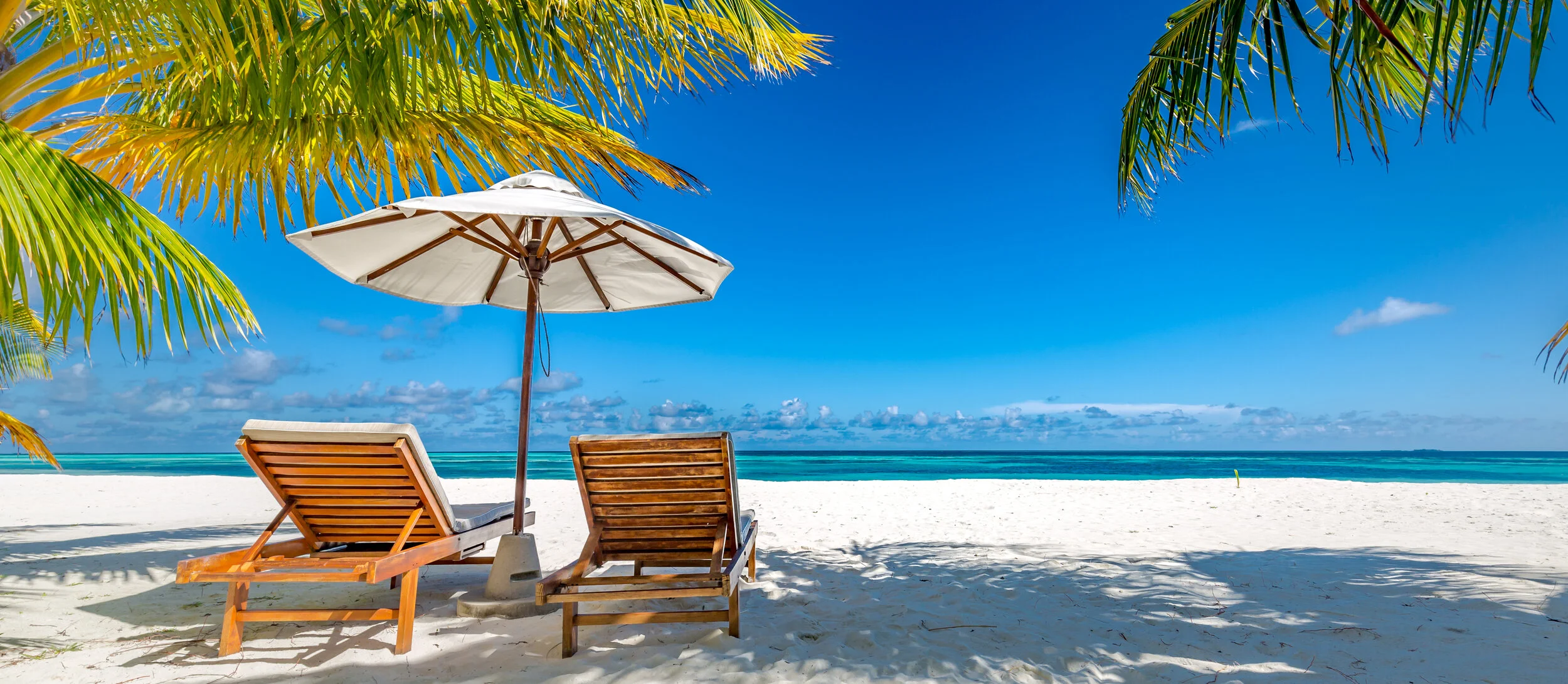 shutterstock_1201599862.jpg