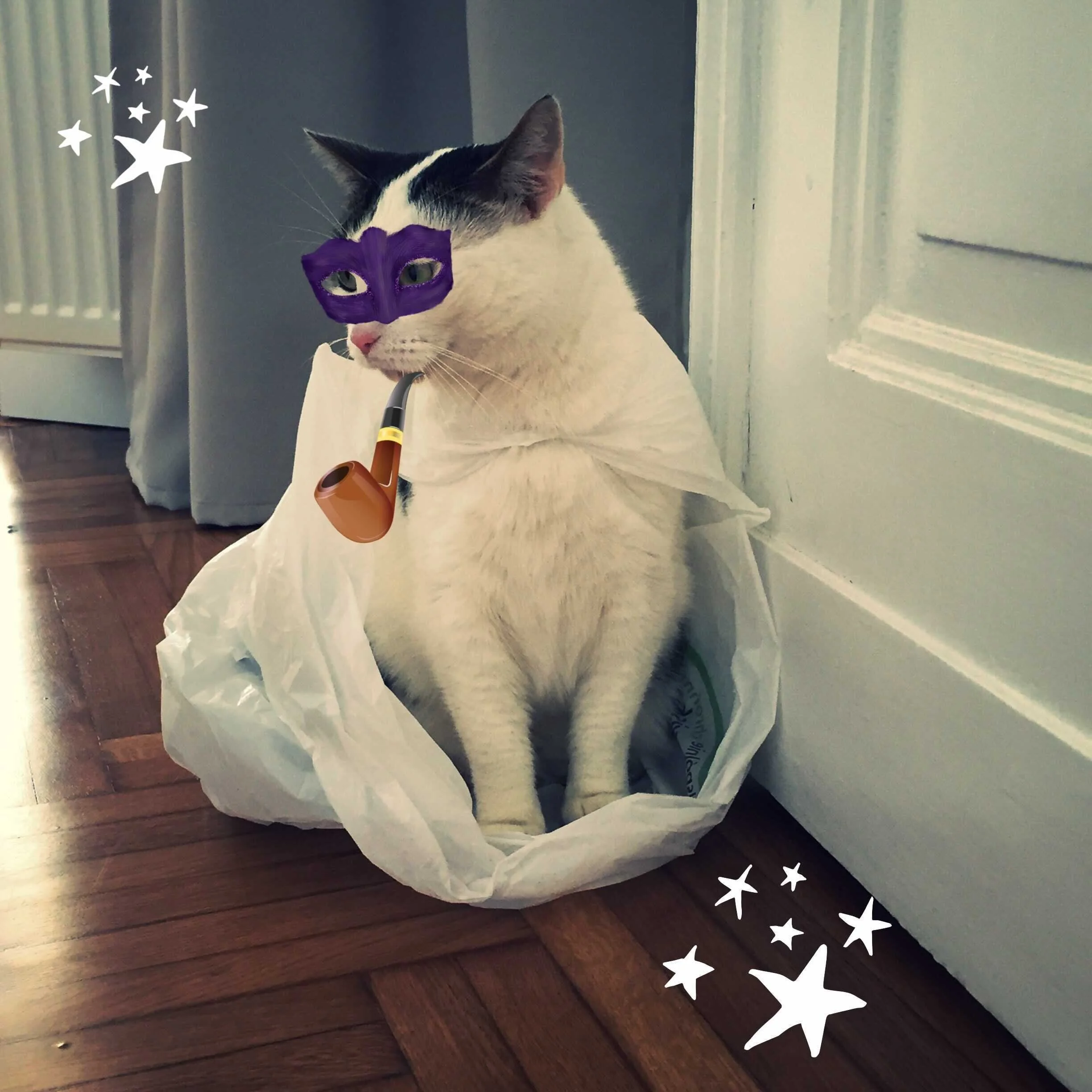 j-catbag.jpg