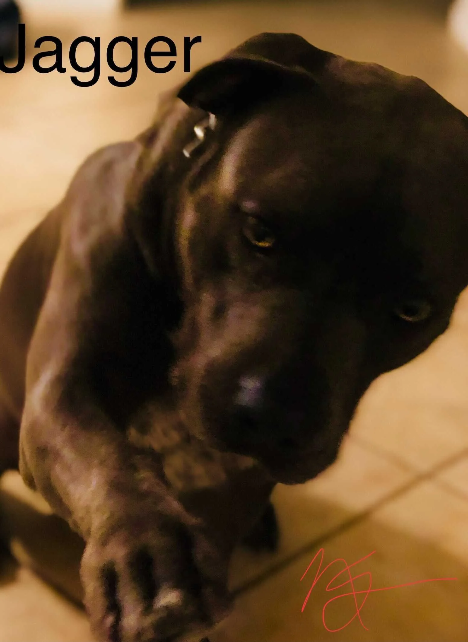 Image from iOS (2).jpg