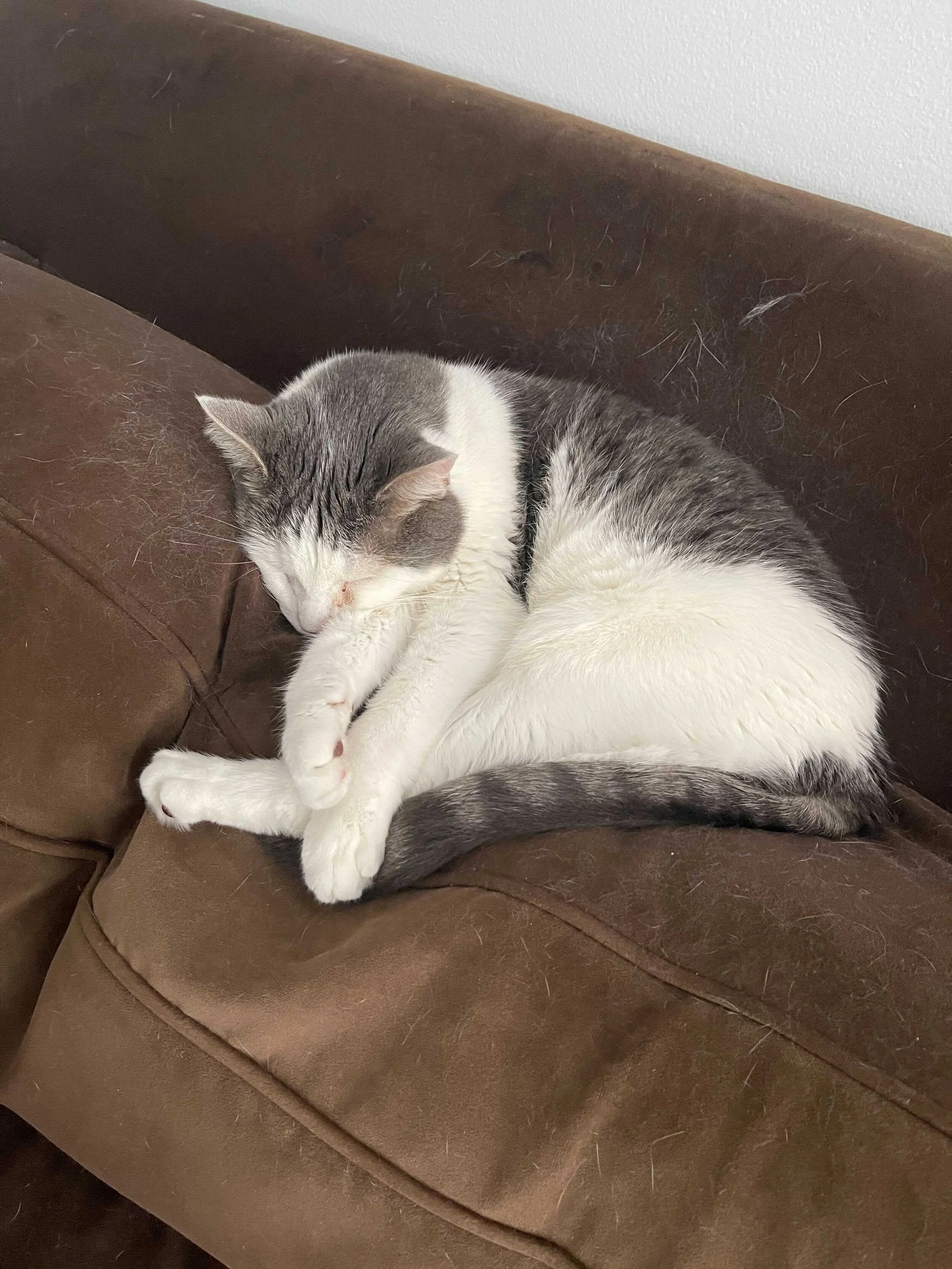 Image from iOS (1).jpg