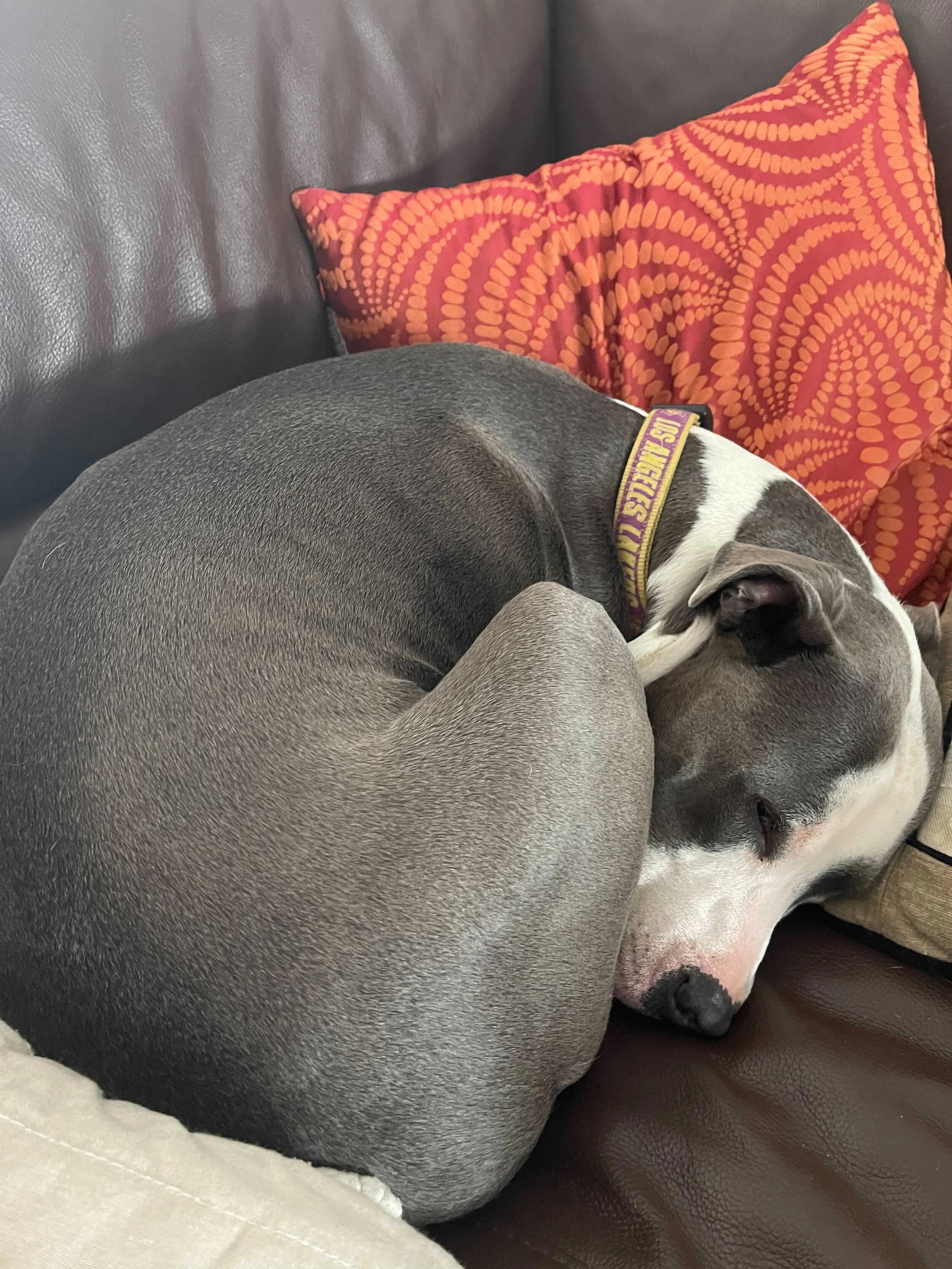 Image from iOS (2).jpg