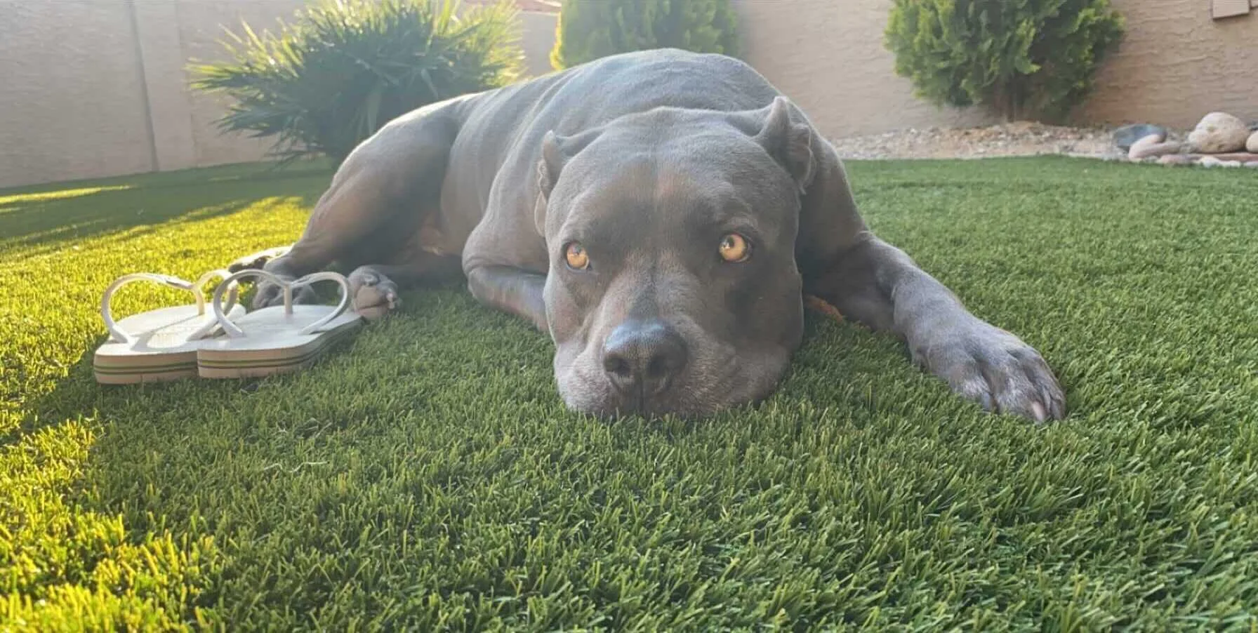 Image from iOS (1).jpg