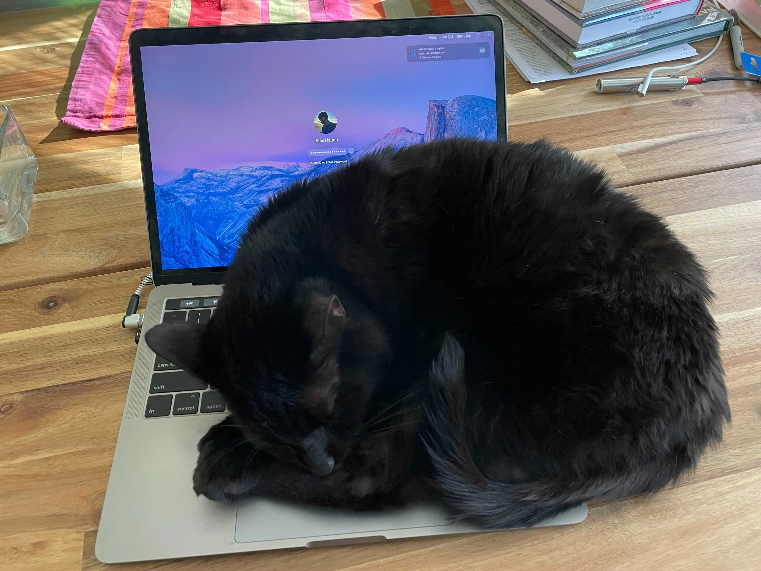 Image from iOS (1).jpg