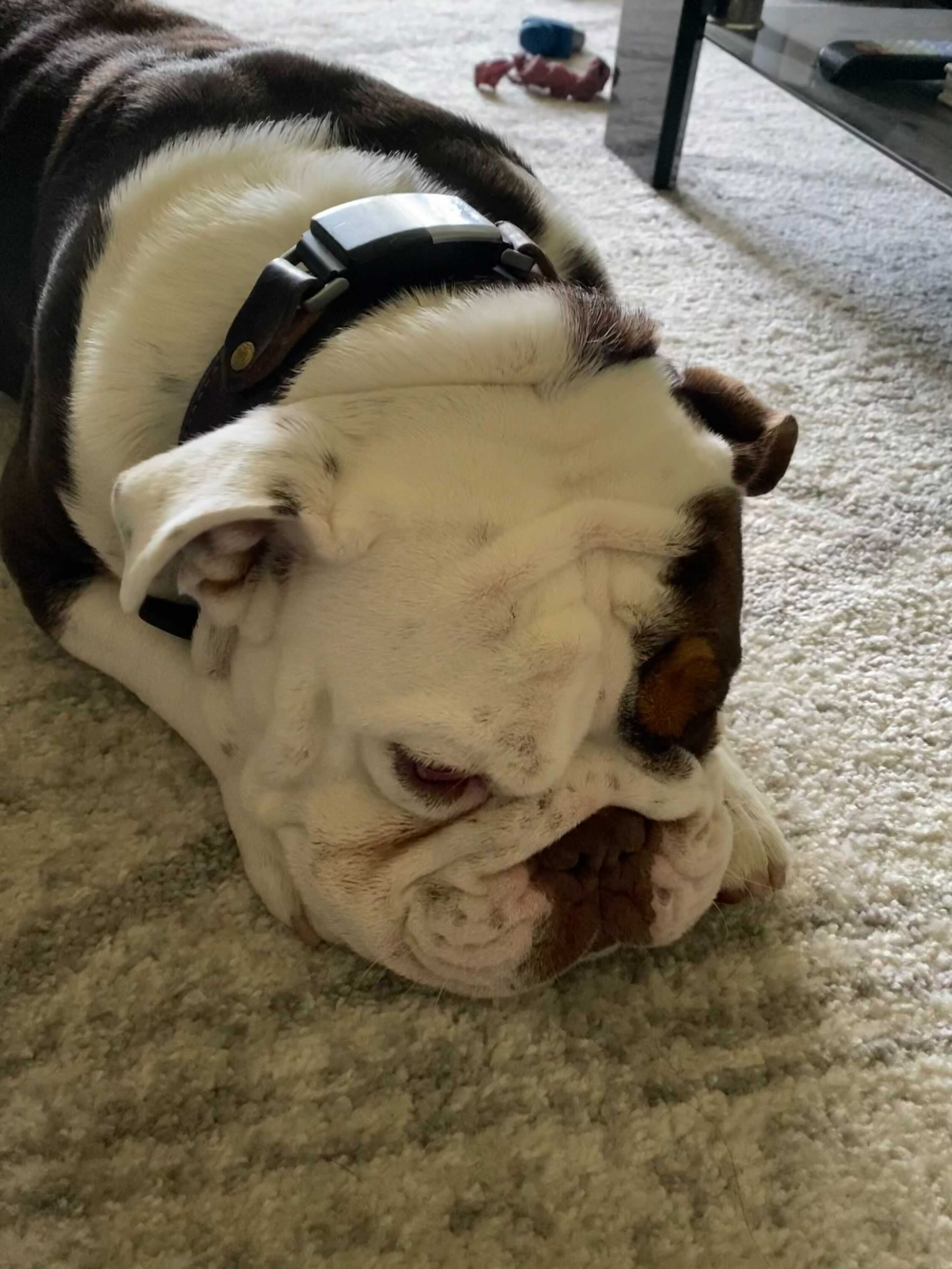 Image from iOS (5).jpg