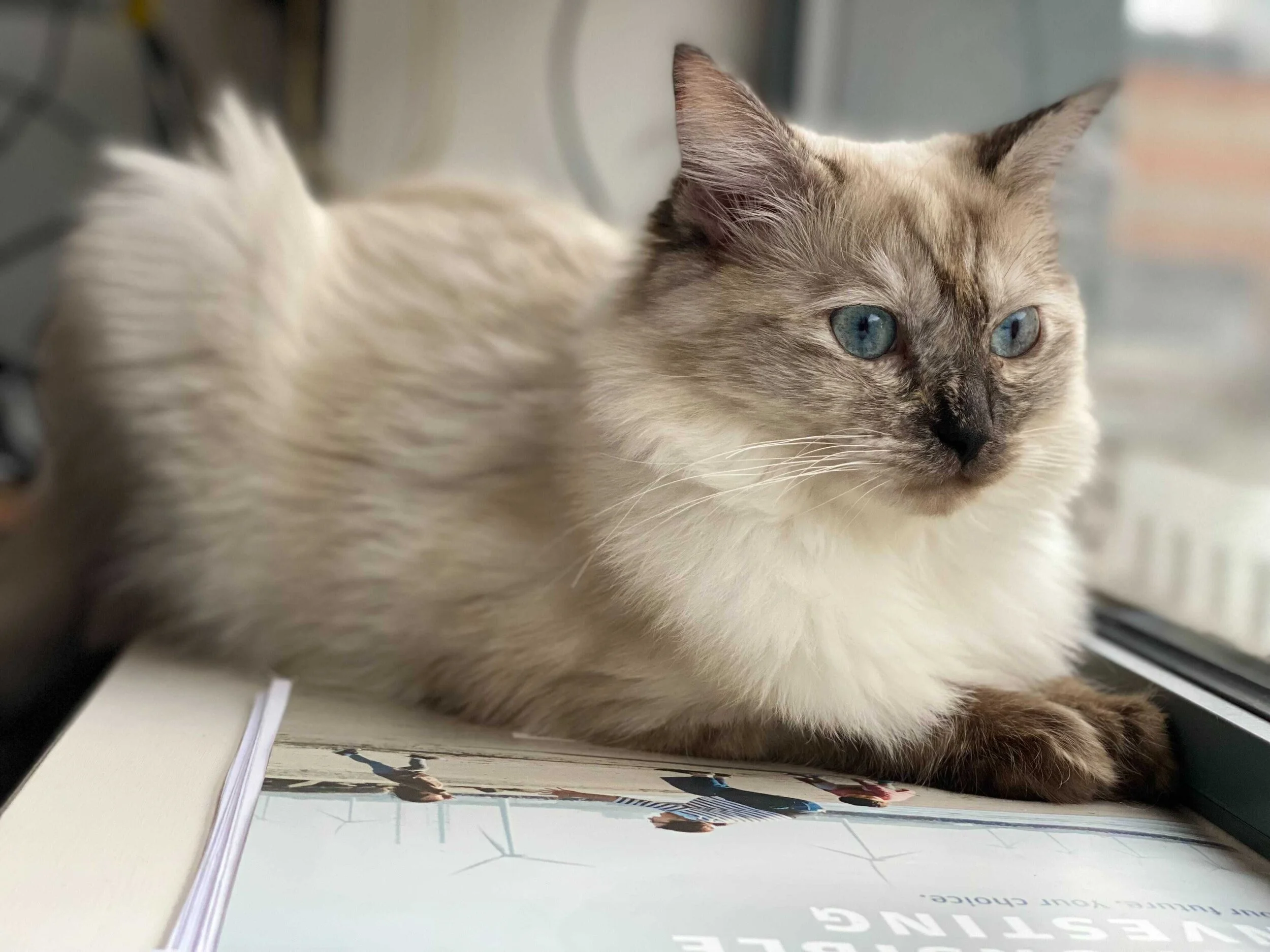 Image from iOS (1).jpg