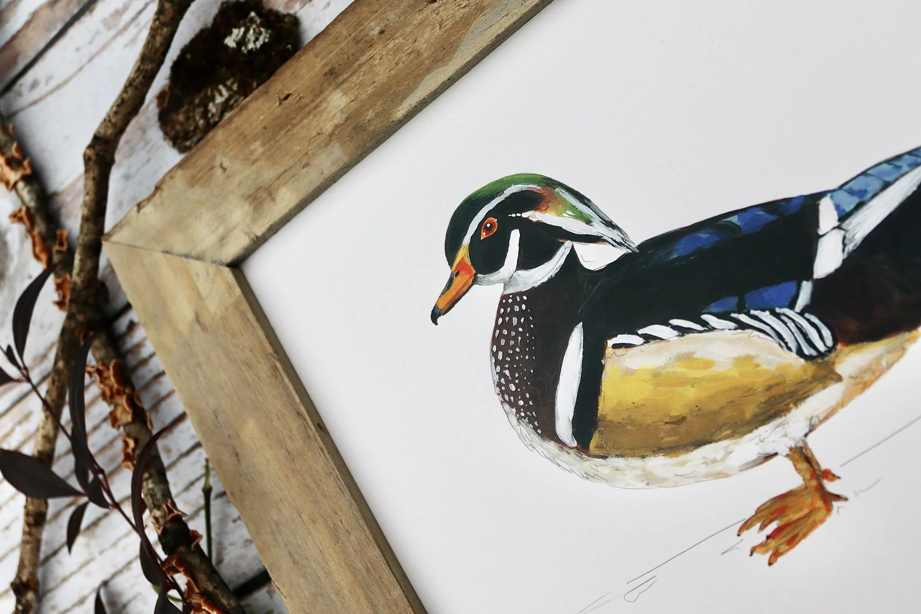 Wood Duck Paintings