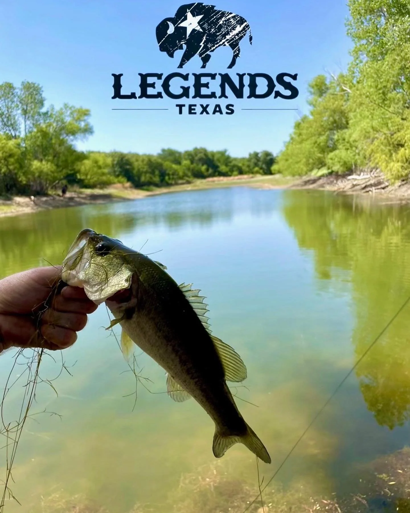 Did you know that fishing benefits health by providing physical activity, like walking and casting, and improving mental well-being through stress reduction and increased patience. It also provides vitamin D from sun exposure, can lower blood pressur